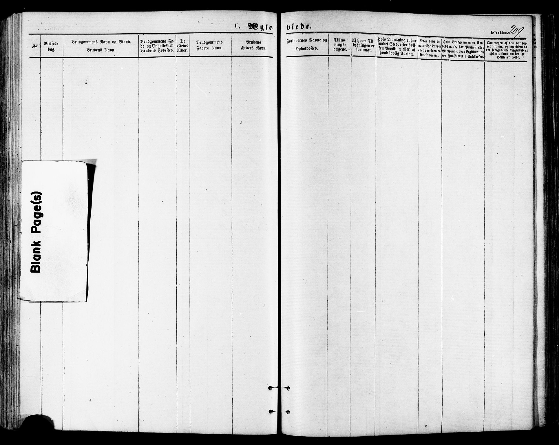 Ministerialprotokoller, klokkerbøker og fødselsregistre - Nordland, SAT/A-1459/846/L0645: Parish register (official) no. 846A03, 1872-1886, p. 209