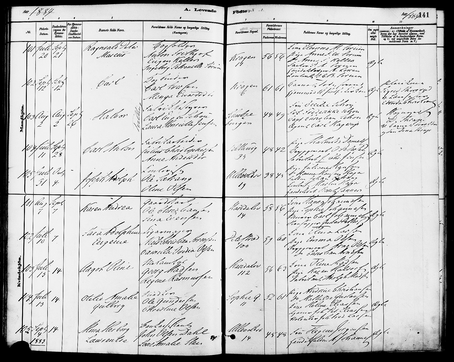 Gamle Aker prestekontor Kirkebøker, AV/SAO-A-10617a/F/L0006: Parish register (official) no. 6, 1880-1887, p. 141