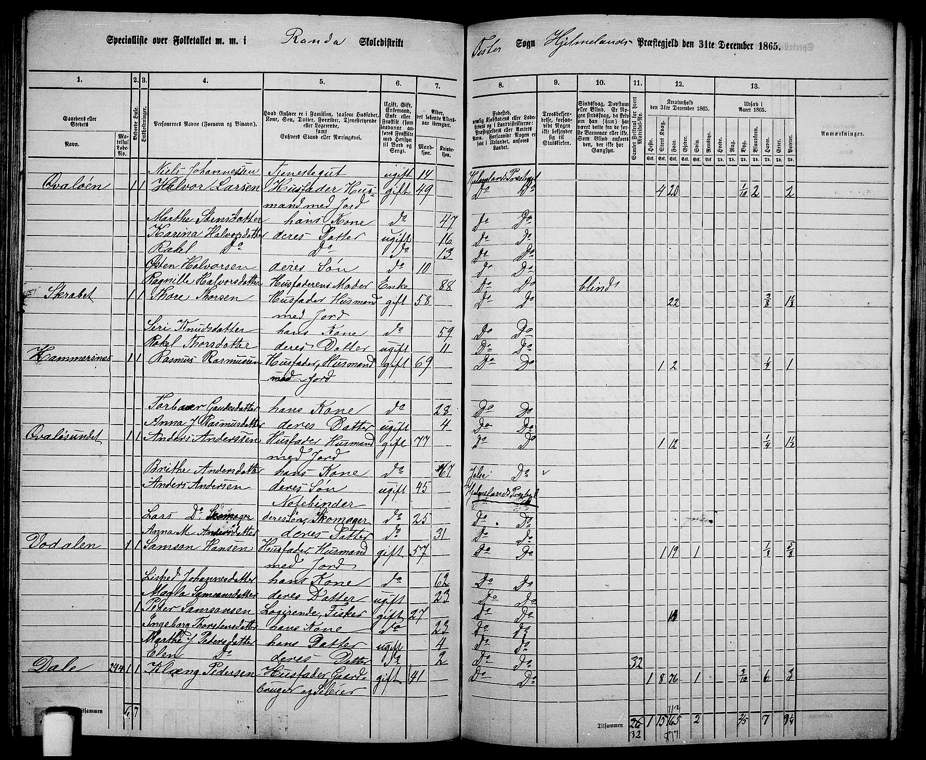 RA, 1865 census for Hjelmeland, 1865, p. 146