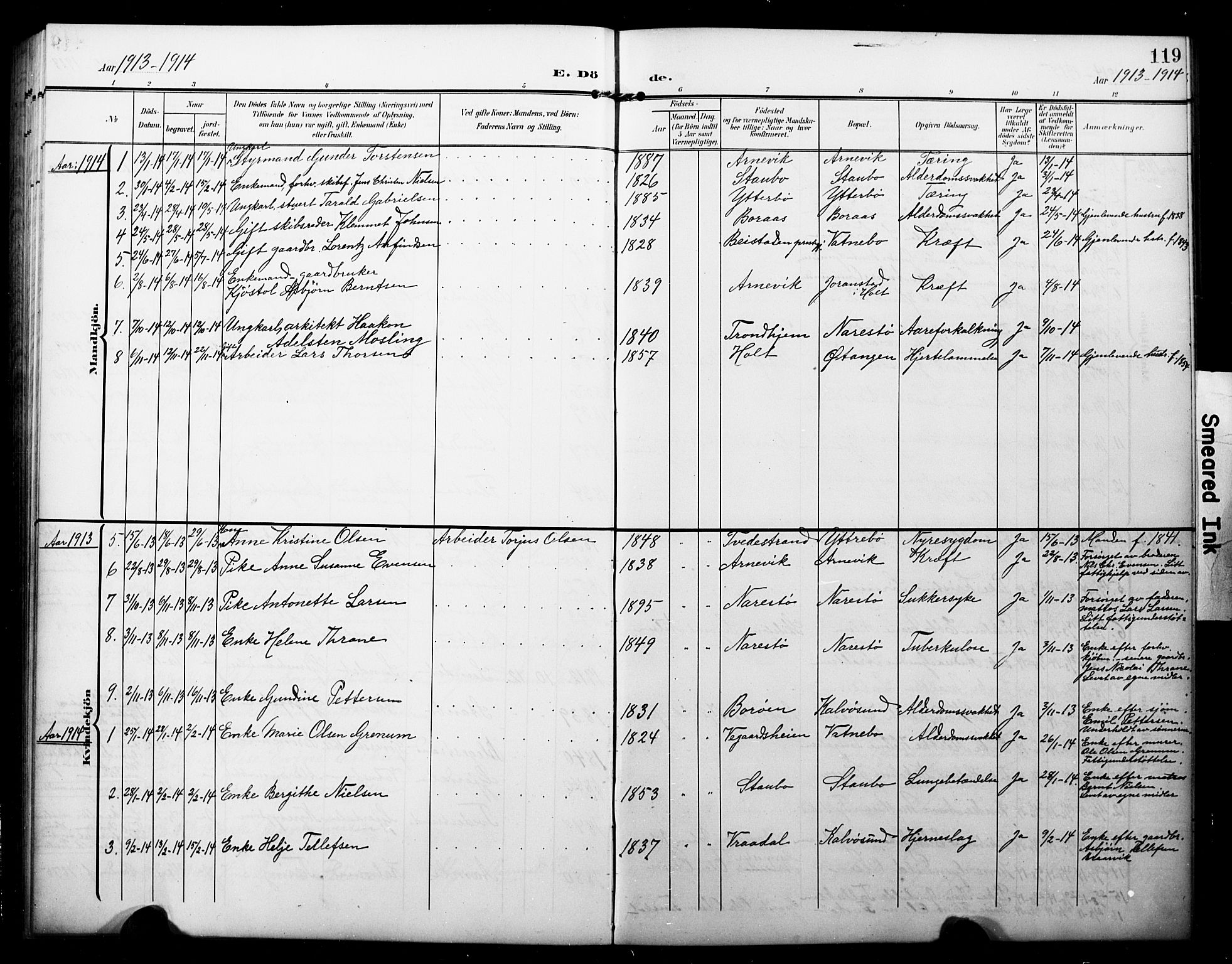 Dypvåg sokneprestkontor, AV/SAK-1111-0007/F/Fb/Fbb/L0005: Parish register (copy) no. B 5, 1905-1924, p. 119