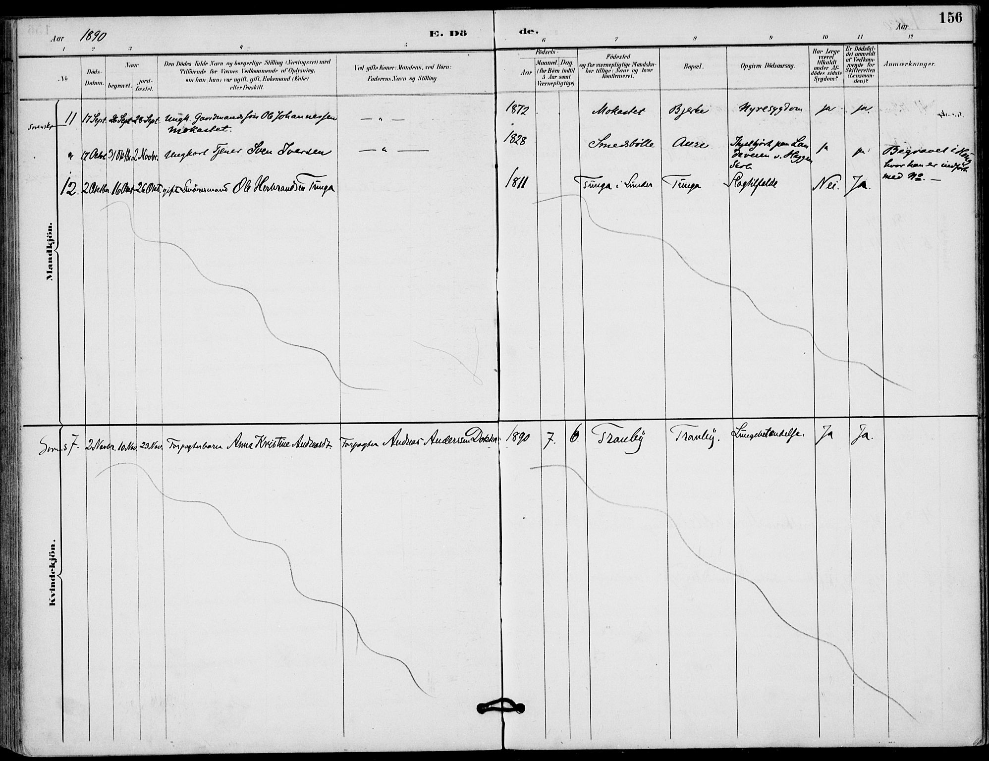 Lunder kirkebøker, AV/SAKO-A-629/F/Fa/L0001: Parish register (official) no. I 1, 1885-1912, p. 156