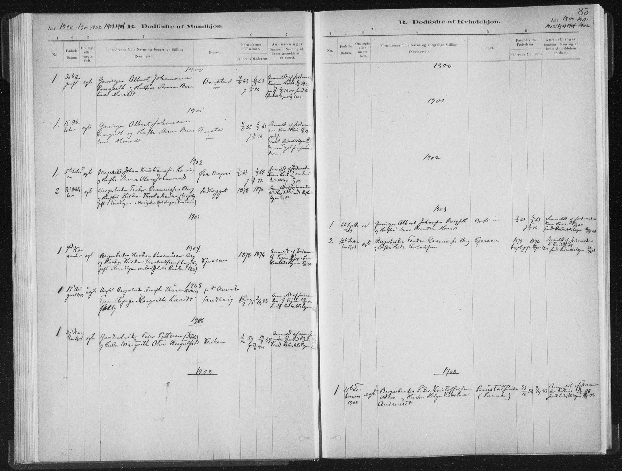 Ministerialprotokoller, klokkerbøker og fødselsregistre - Nord-Trøndelag, SAT/A-1458/722/L0220: Parish register (official) no. 722A07, 1881-1908, p. 85