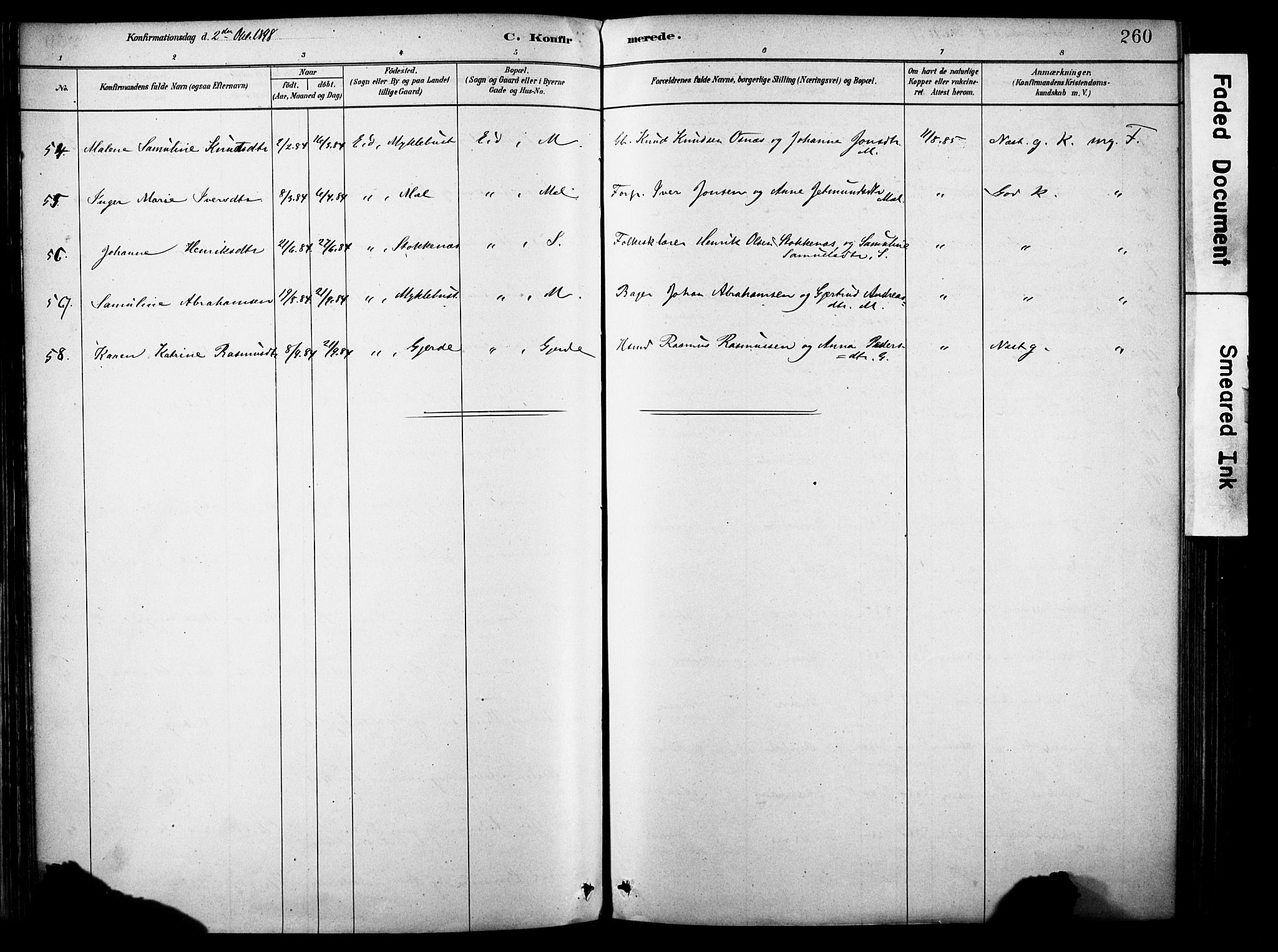 Eid sokneprestembete, AV/SAB-A-82301/H/Haa/Haab/L0001: Parish register (official) no. B 1, 1879-1906, p. 260