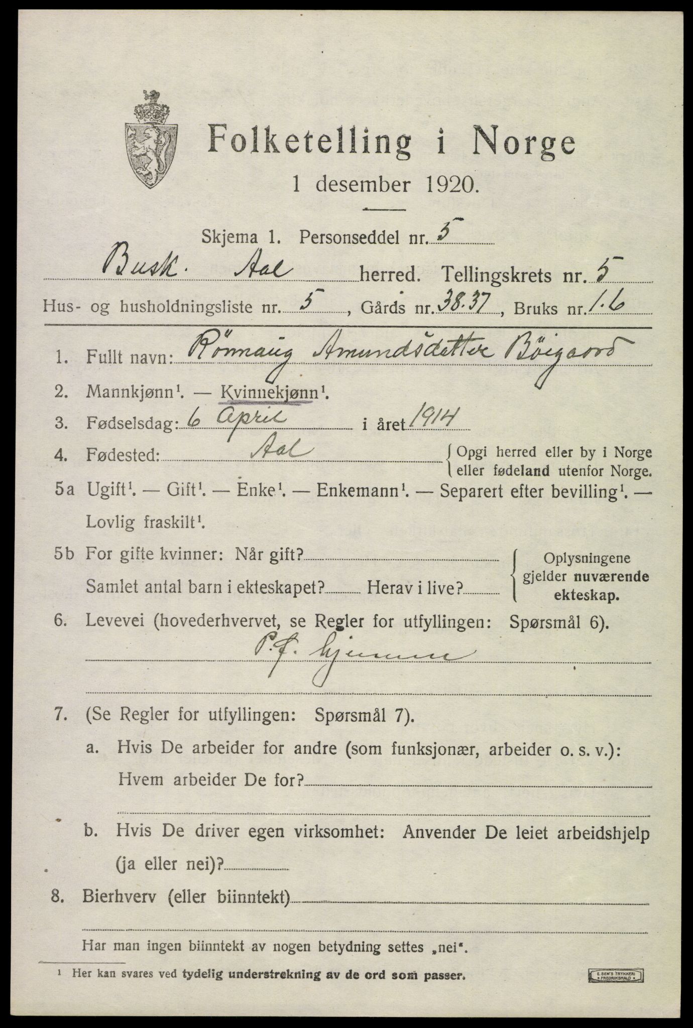 SAKO, 1920 census for Ål, 1920, p. 3906