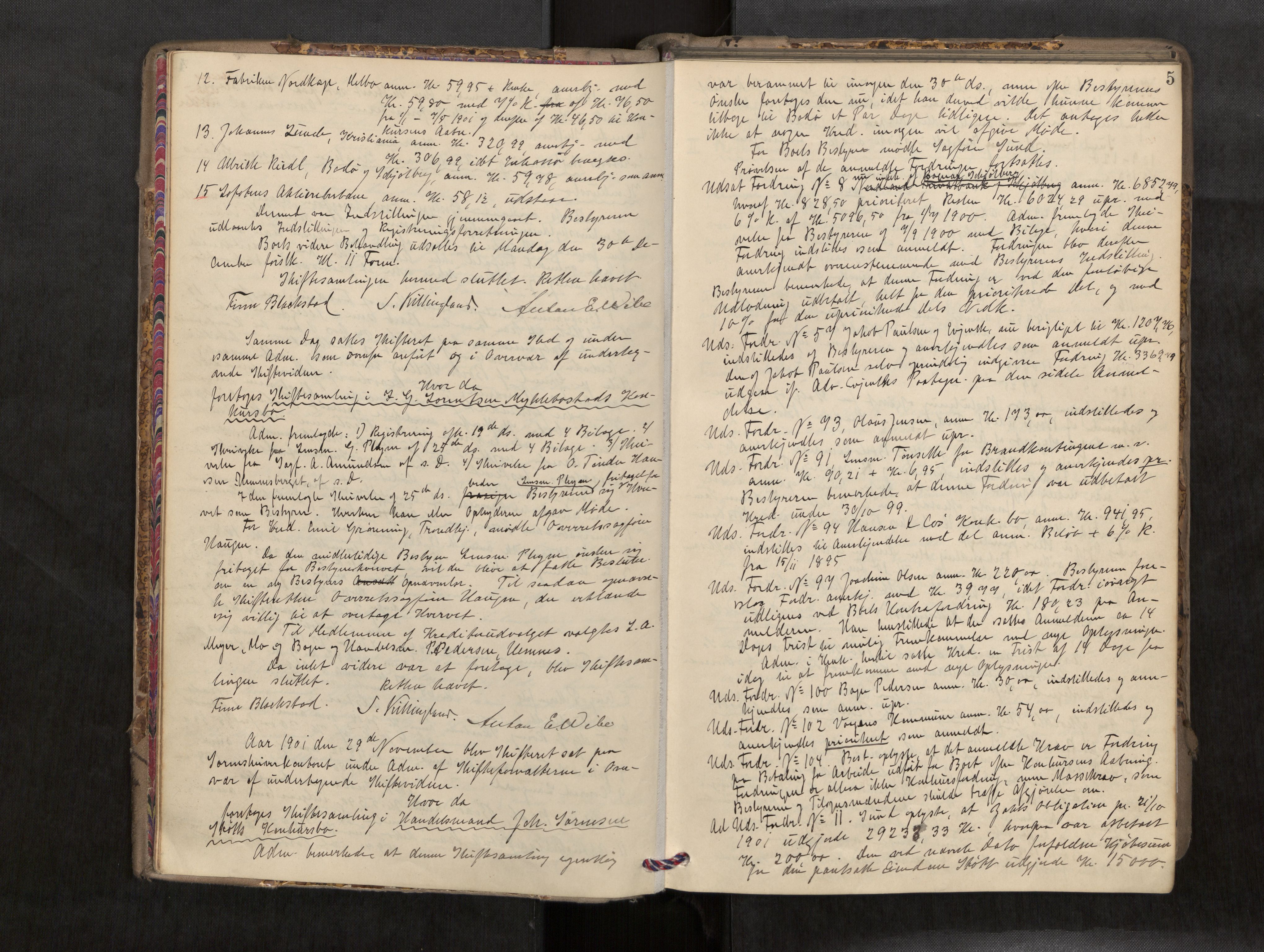 Rana sorenskriveri , AV/SAT-A-1108/1/3/3B/L0007: Skiftebehandlingsprotokoll, 1901-1909, p. 5