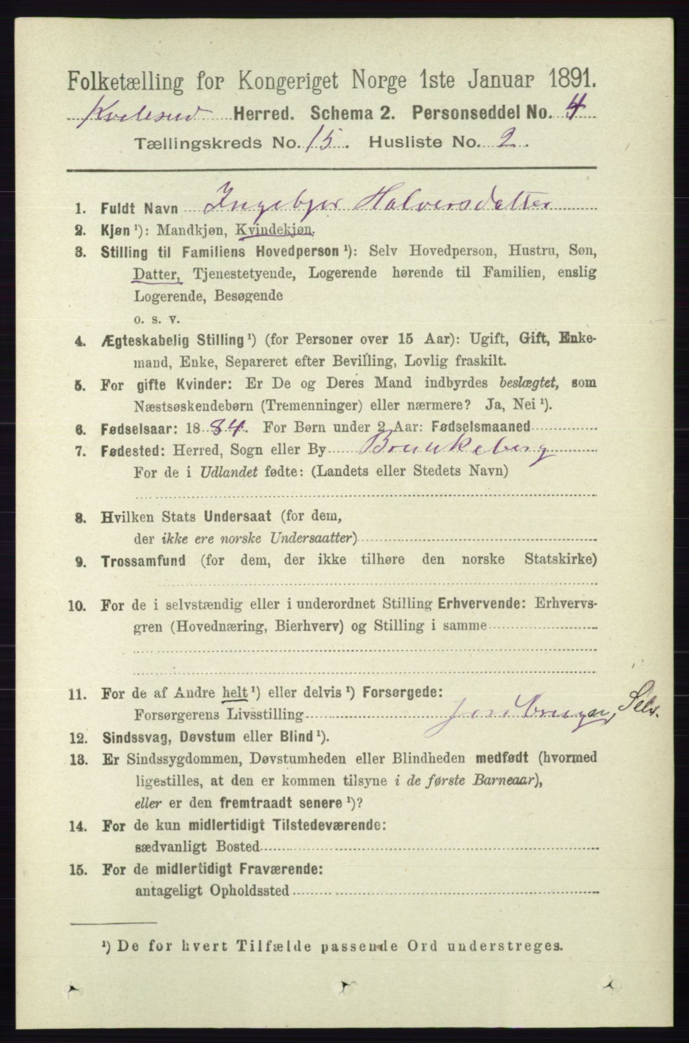 RA, 1891 census for 0829 Kviteseid, 1891, p. 3529