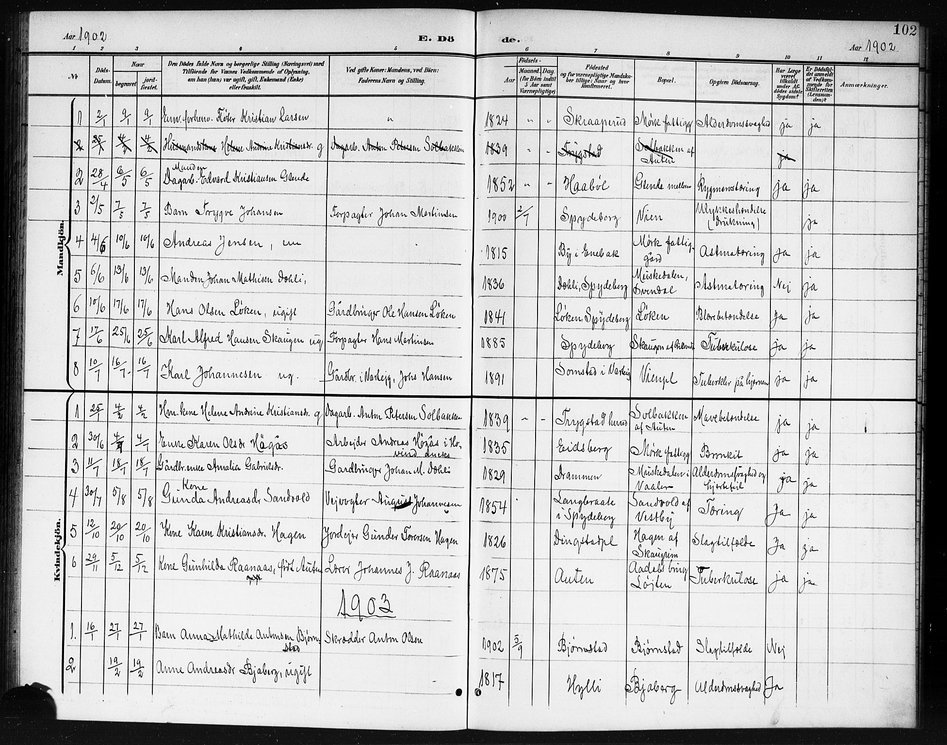 Spydeberg prestekontor Kirkebøker, AV/SAO-A-10924/G/Ga/L0002: Parish register (copy) no. I 2, 1901-1922, p. 102