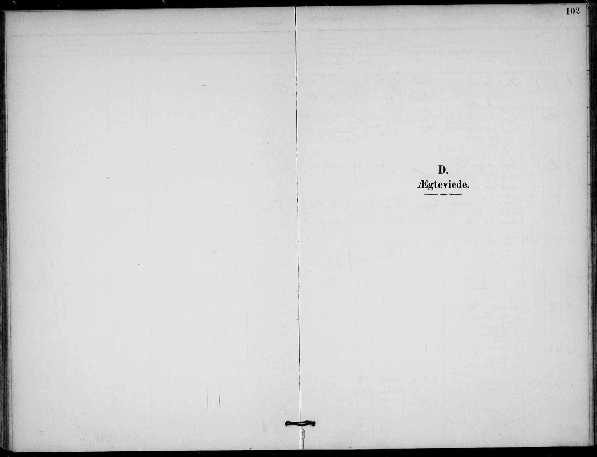 Solum kirkebøker, SAKO/A-306/F/Fb/L0002: Parish register (official) no. II 2, 1893-1901, p. 102
