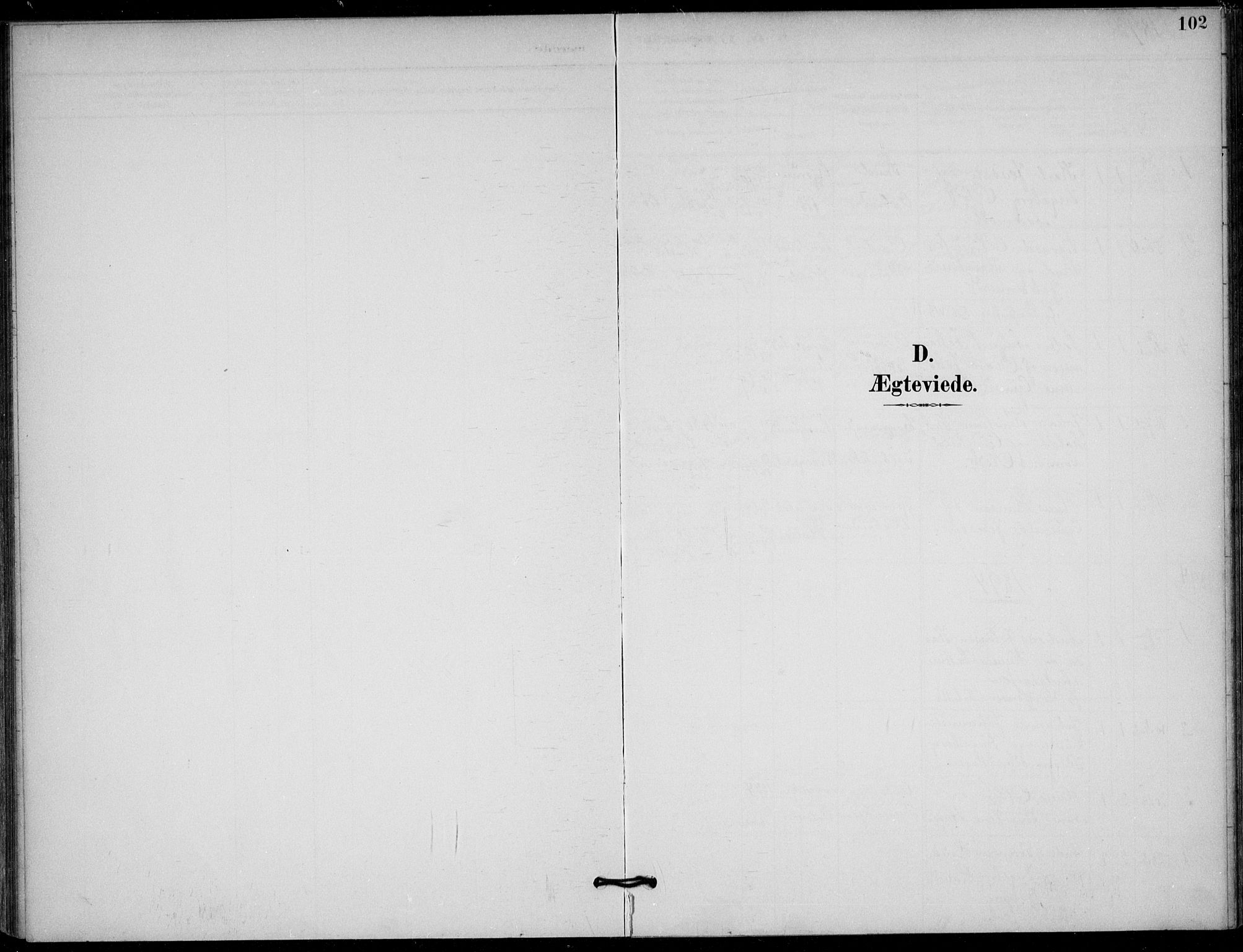 Solum kirkebøker, AV/SAKO-A-306/F/Fb/L0002: Parish register (official) no. II 2, 1893-1901, p. 102