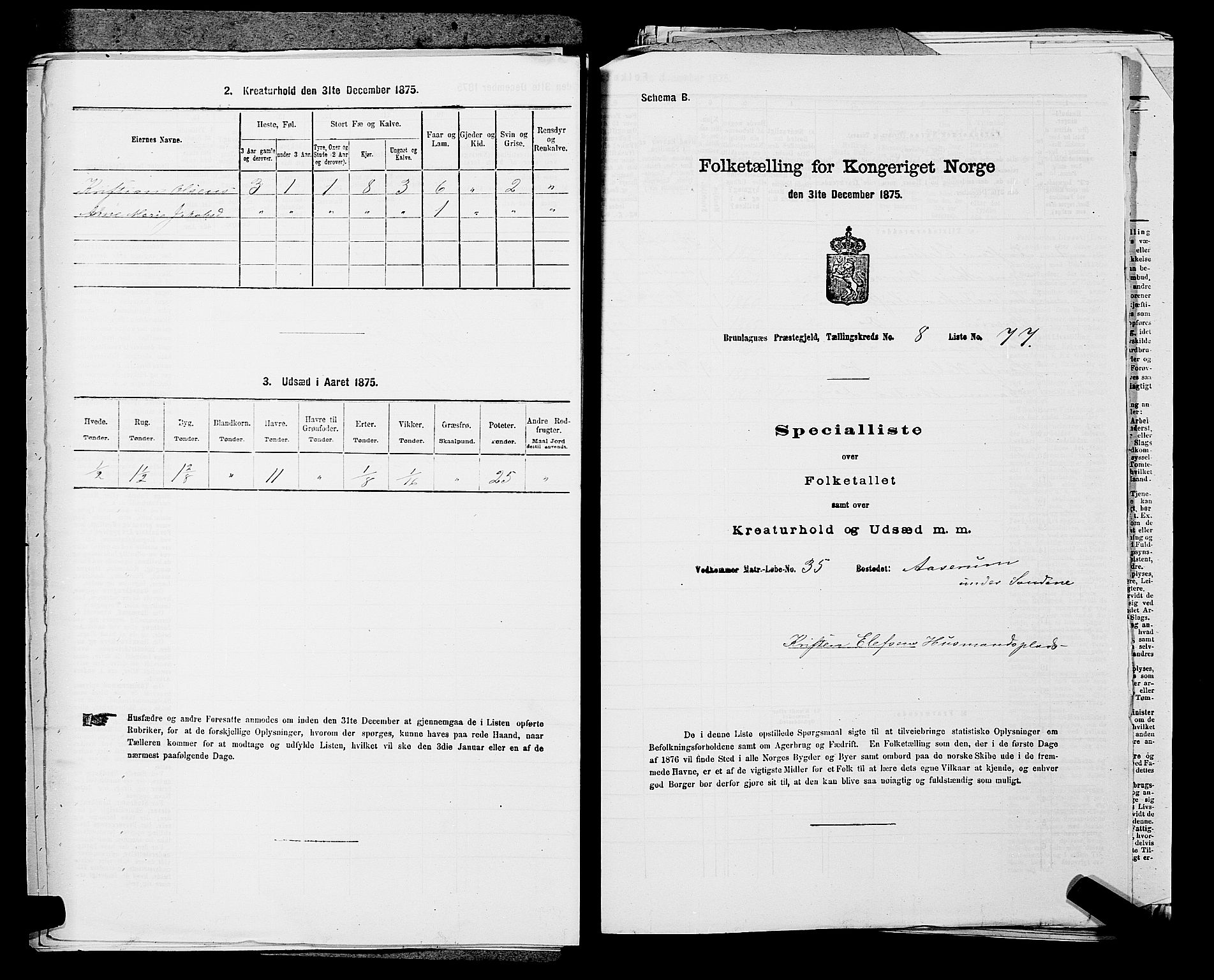 SAKO, 1875 census for 0726P Brunlanes, 1875, p. 1052