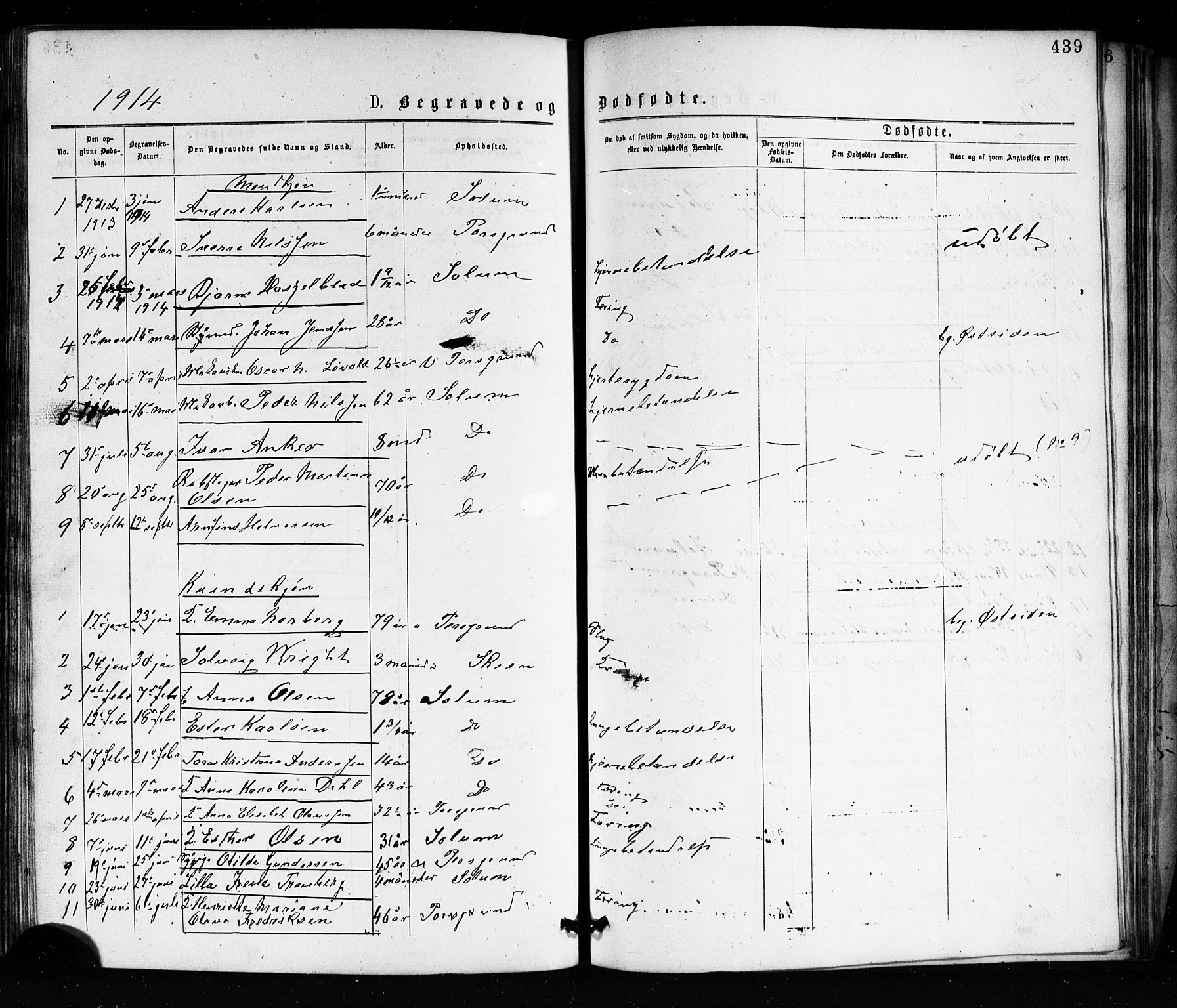 Porsgrunn kirkebøker , SAKO/A-104/G/Ga/L0003: Parish register (copy) no. I 3, 1877-1915, p. 439