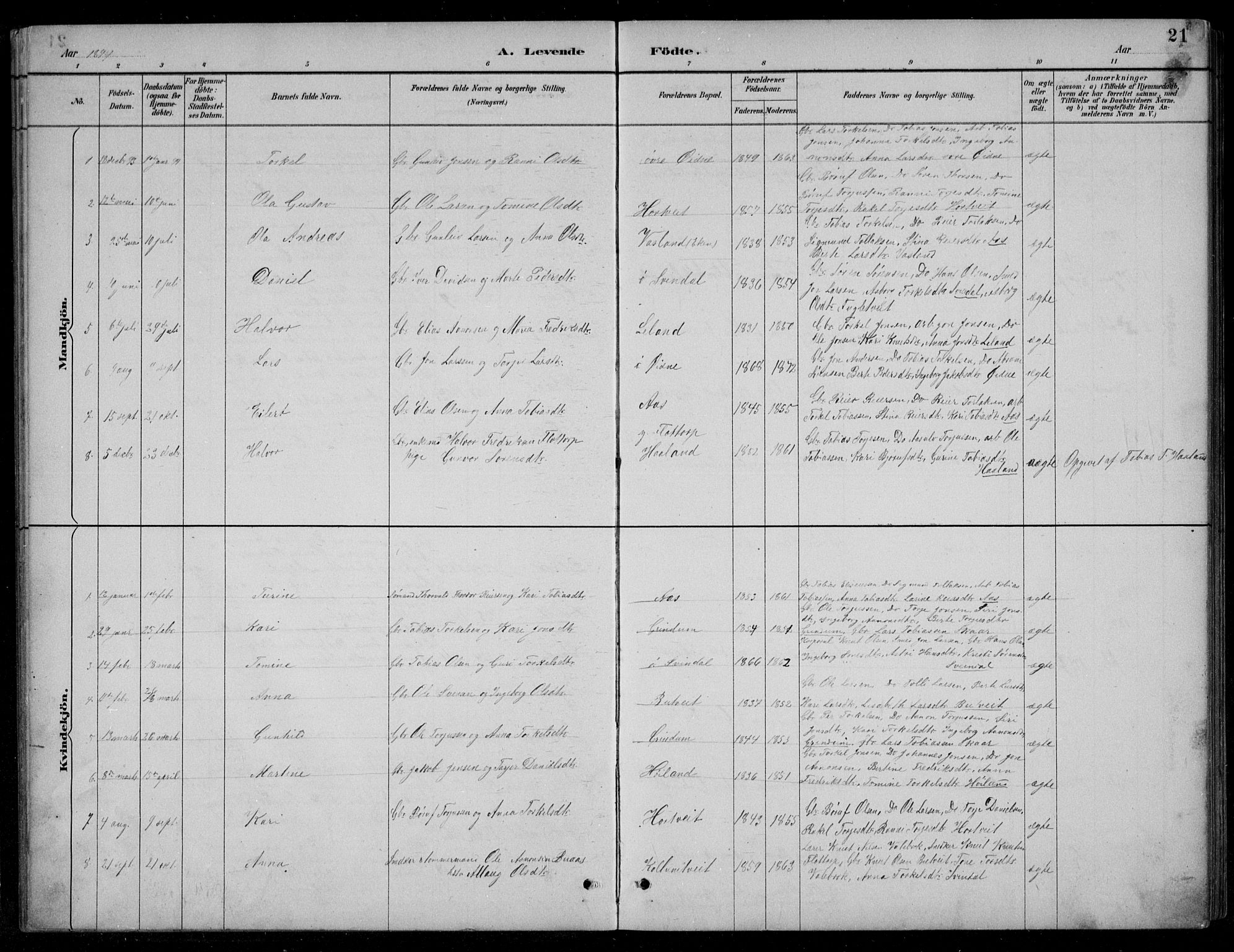 Bjelland sokneprestkontor, SAK/1111-0005/F/Fb/Fbc/L0003: Parish register (copy) no. B 3, 1887-1924, p. 21
