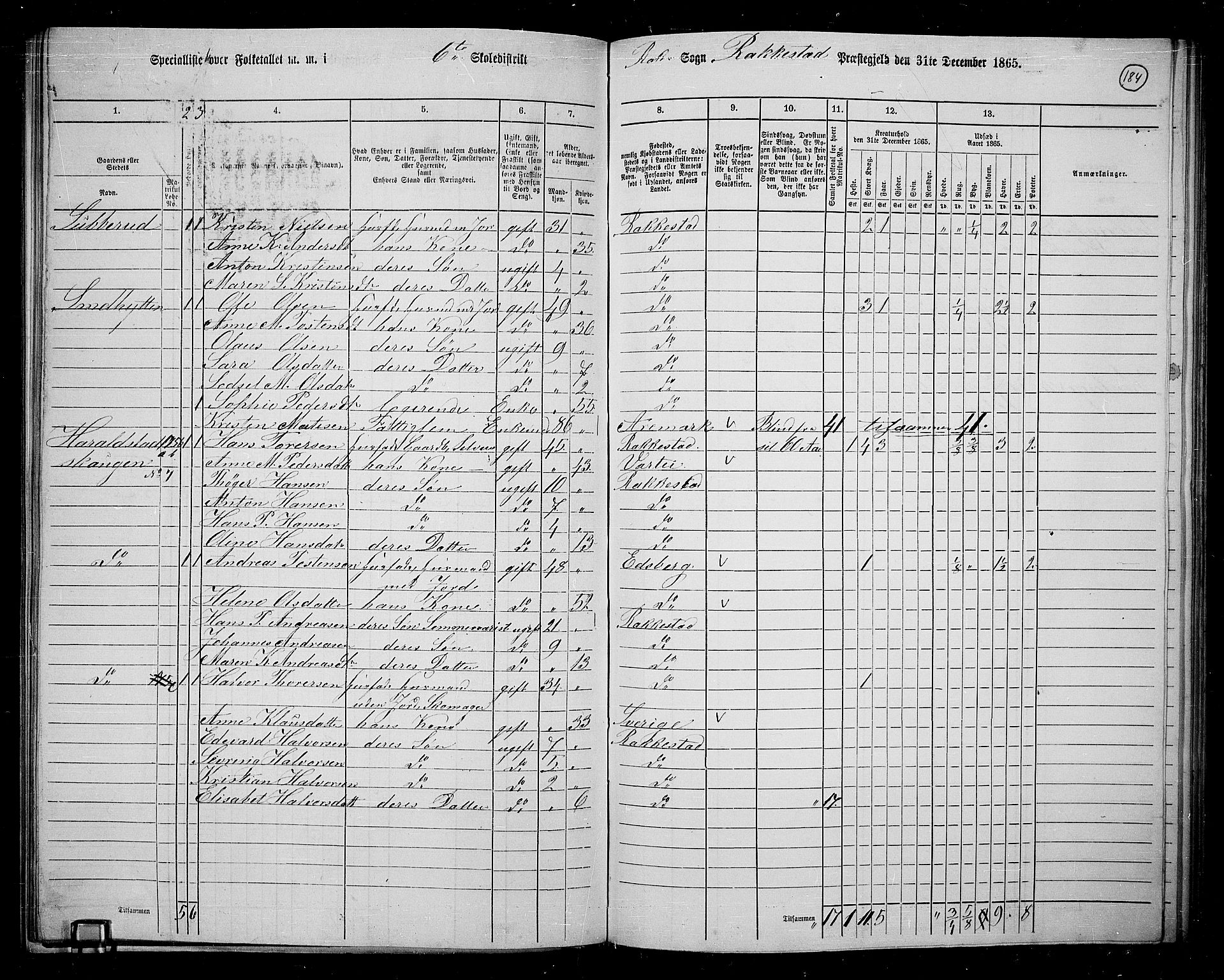 RA, 1865 census for Rakkestad, 1865, p. 176