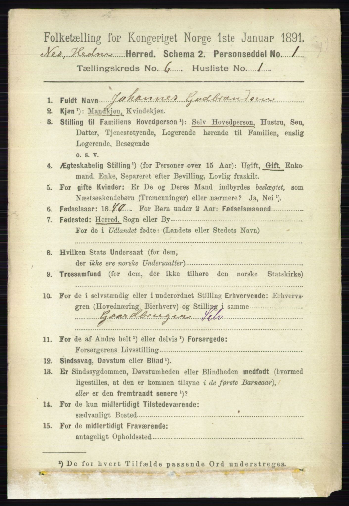 RA, 1891 census for 0411 Nes, 1891, p. 3267