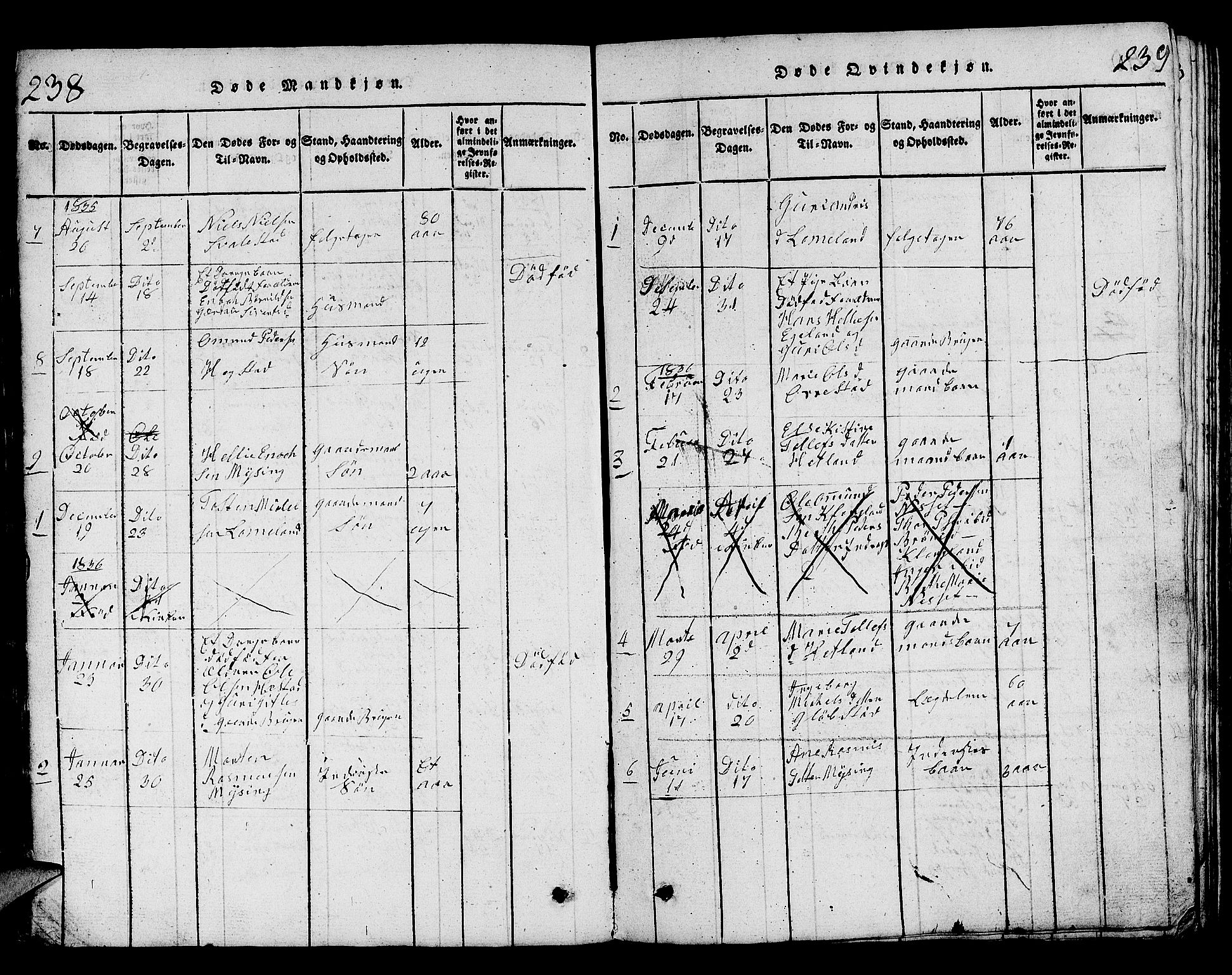 Helleland sokneprestkontor, AV/SAST-A-101810: Parish register (copy) no. B 1, 1815-1841, p. 238-239