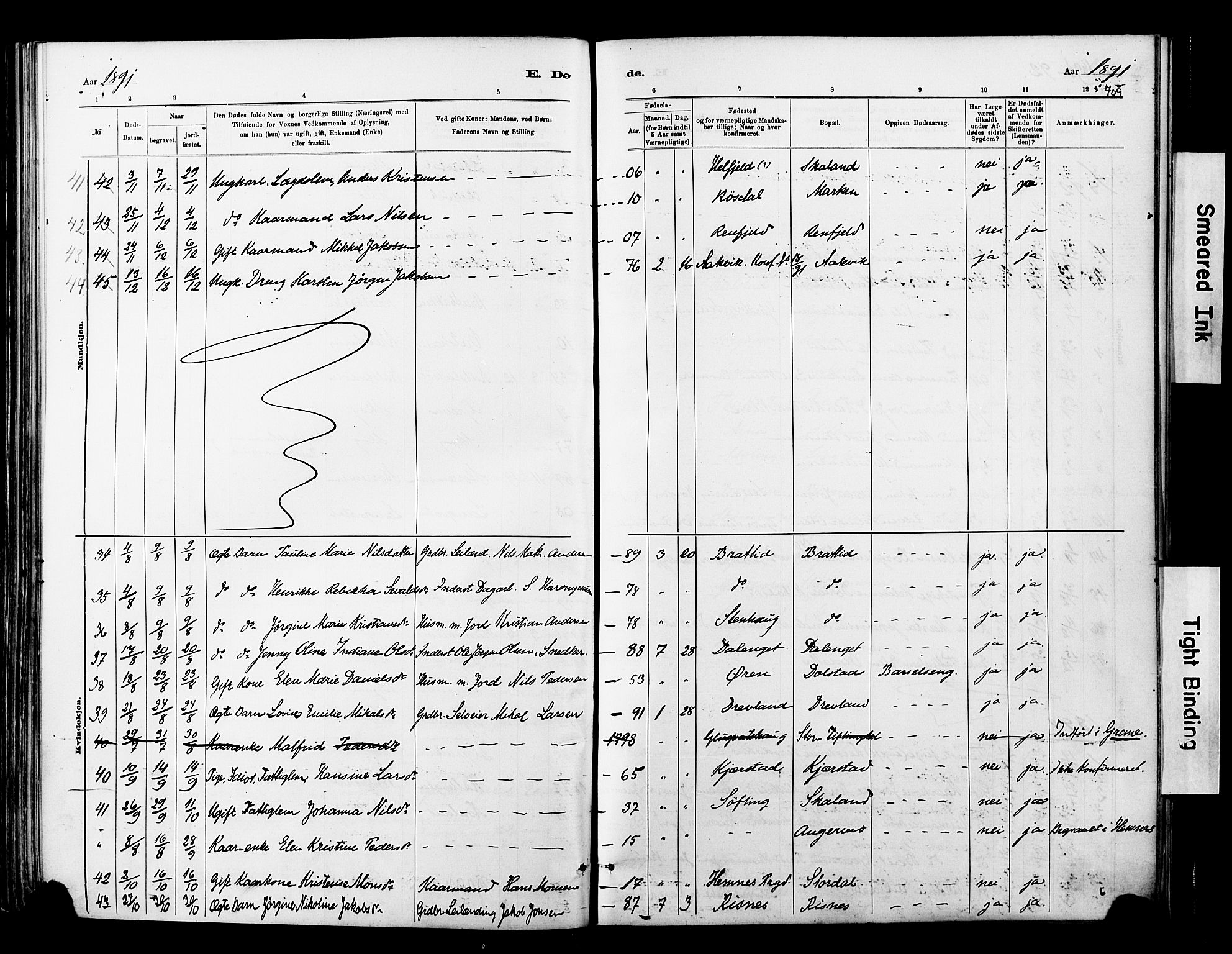 Ministerialprotokoller, klokkerbøker og fødselsregistre - Nordland, SAT/A-1459/820/L0295: Parish register (official) no. 820A16, 1880-1896, p. 409