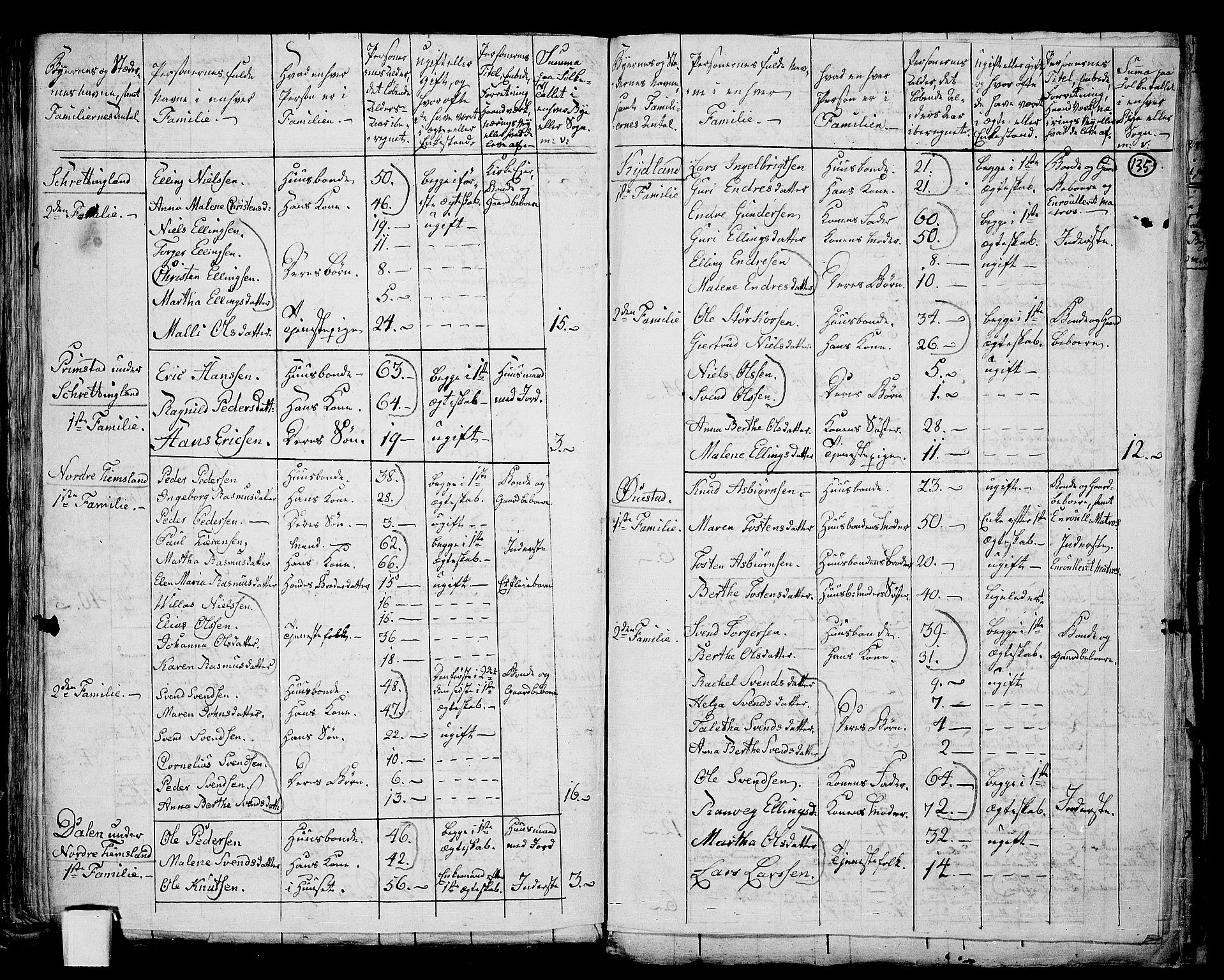 RA, 1801 census for 1119P Hå, 1801, p. 134b-135a