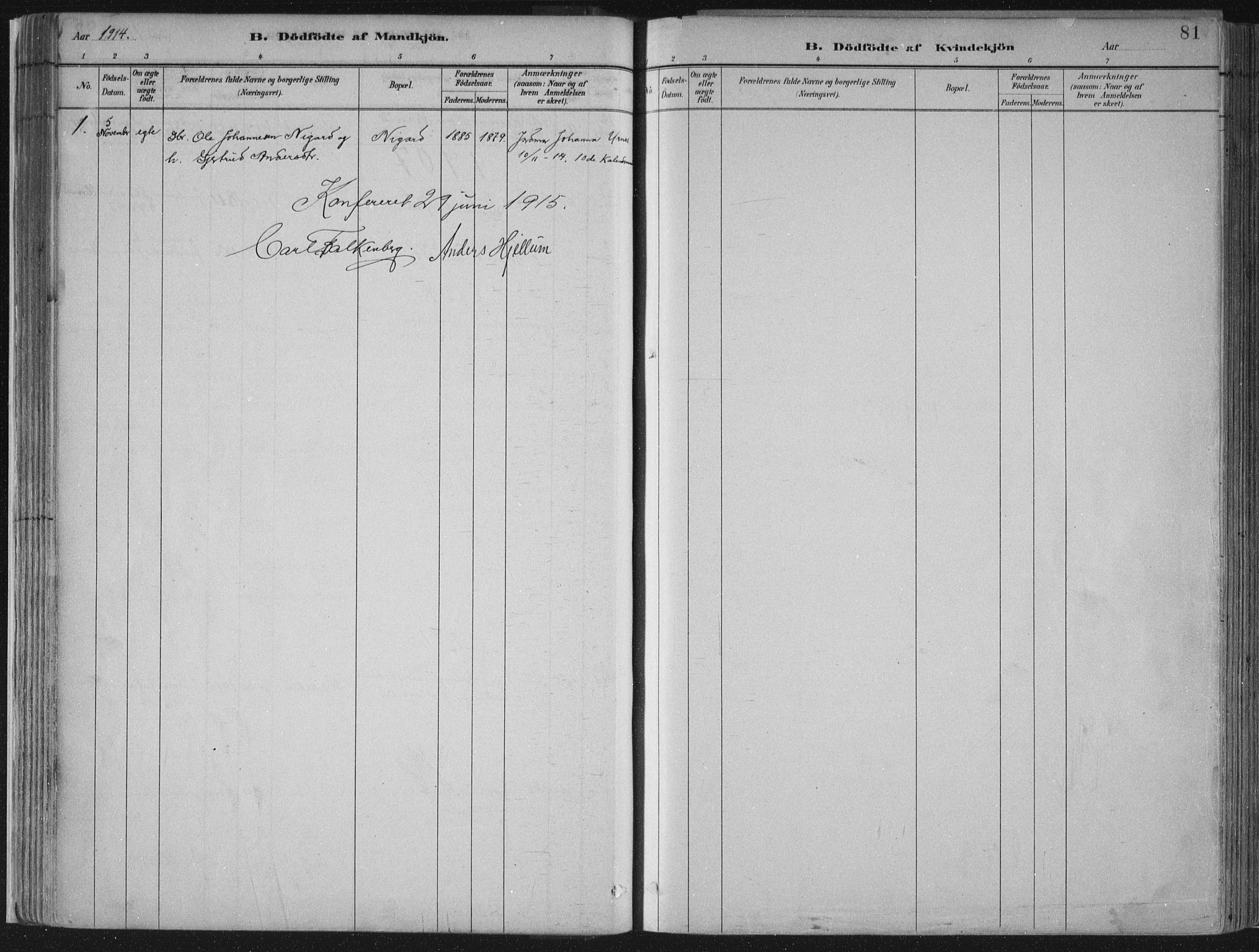Jostedal sokneprestembete, SAB/A-80601/H/Haa/Haab/L0001: Parish register (official) no. B 1, 1887-1914, p. 81