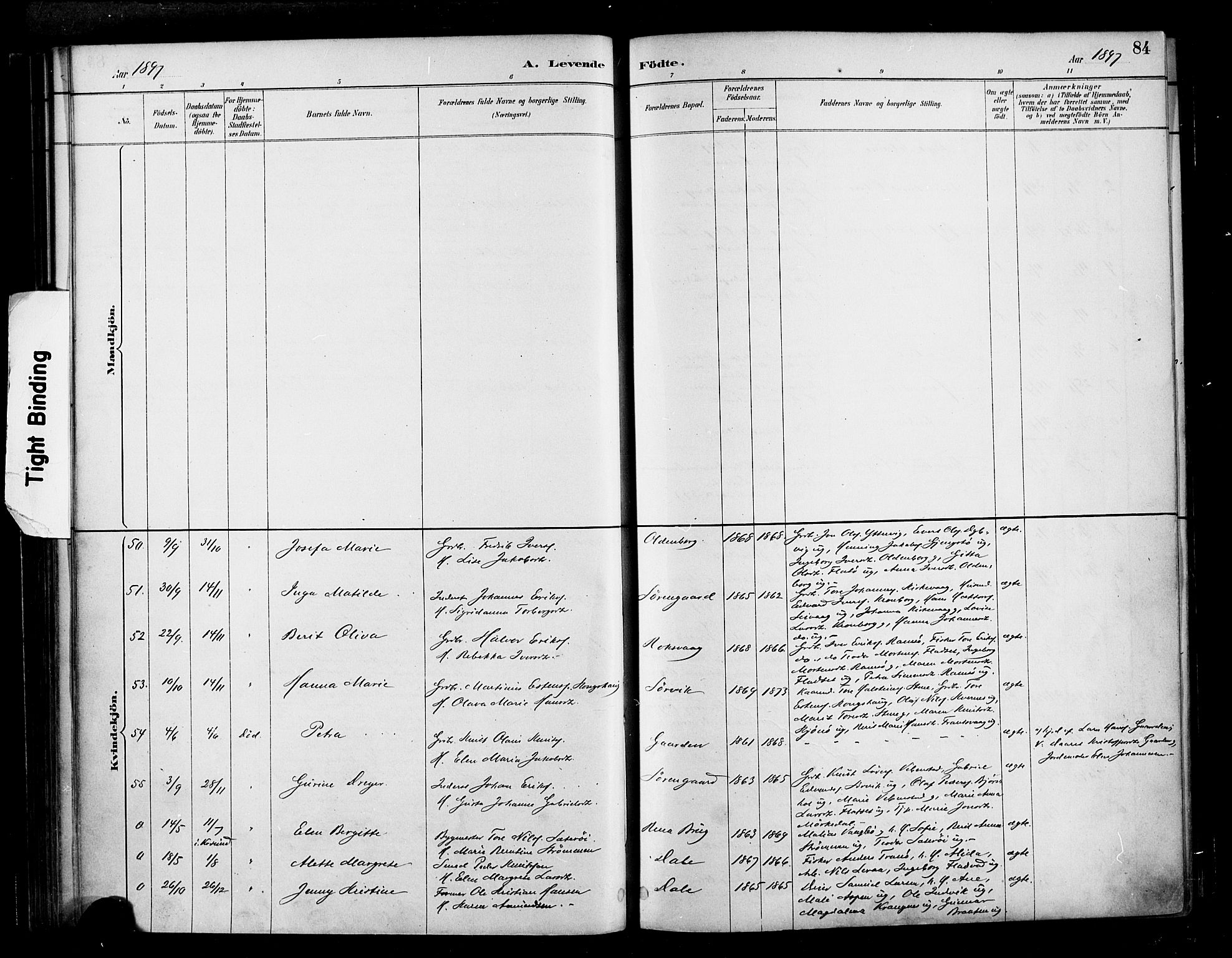 Ministerialprotokoller, klokkerbøker og fødselsregistre - Møre og Romsdal, AV/SAT-A-1454/569/L0819: Parish register (official) no. 569A05, 1885-1899, p. 84