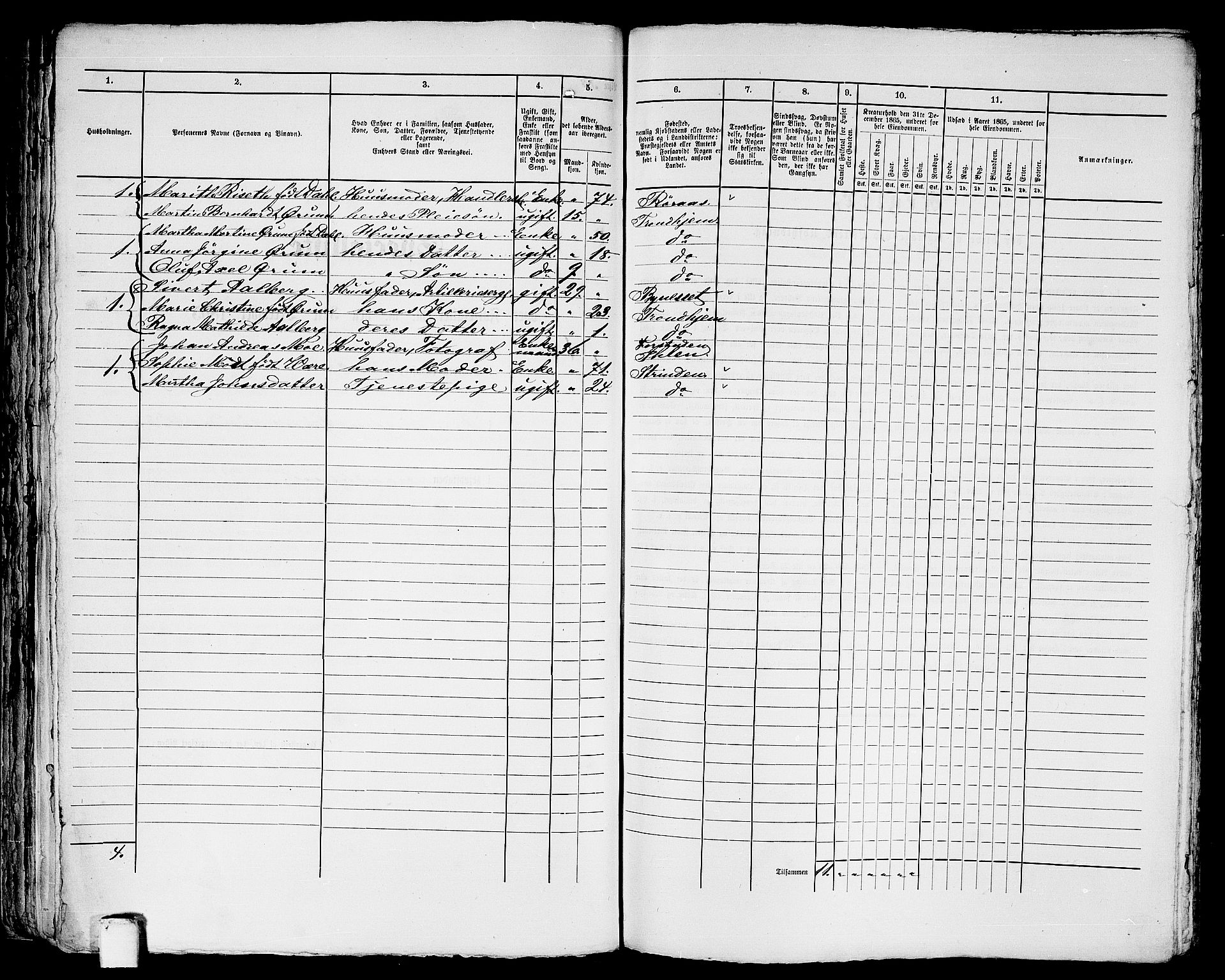 RA, 1865 census for Trondheim, 1865, p. 1171