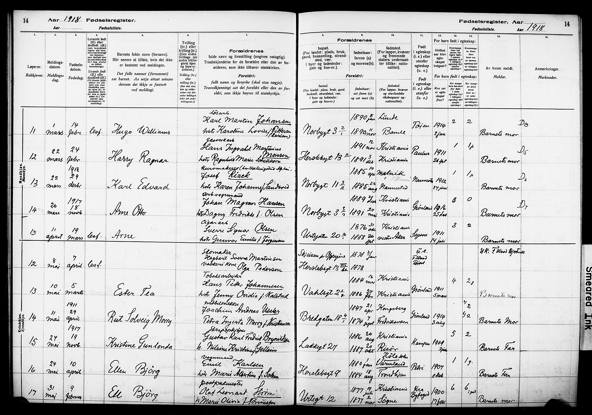 Wexel prestekontor Kirkebøker, AV/SAO-A-10879/J/L0001: Birth register no. 1, 1916-1930, p. 14