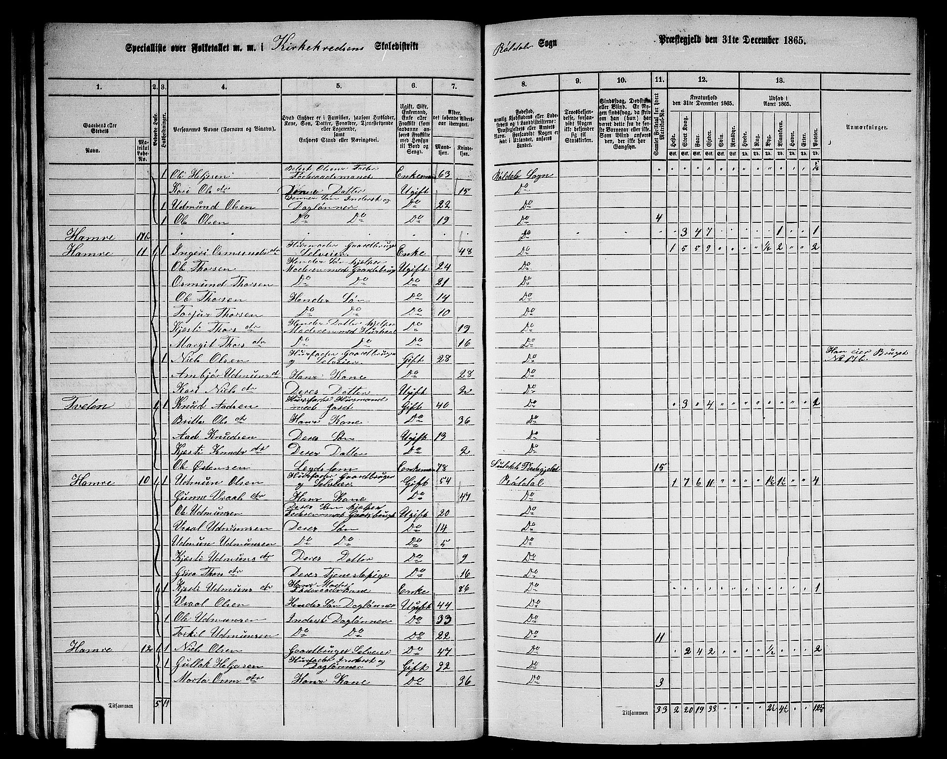 RA, 1865 census for Suldal, 1865, p. 155