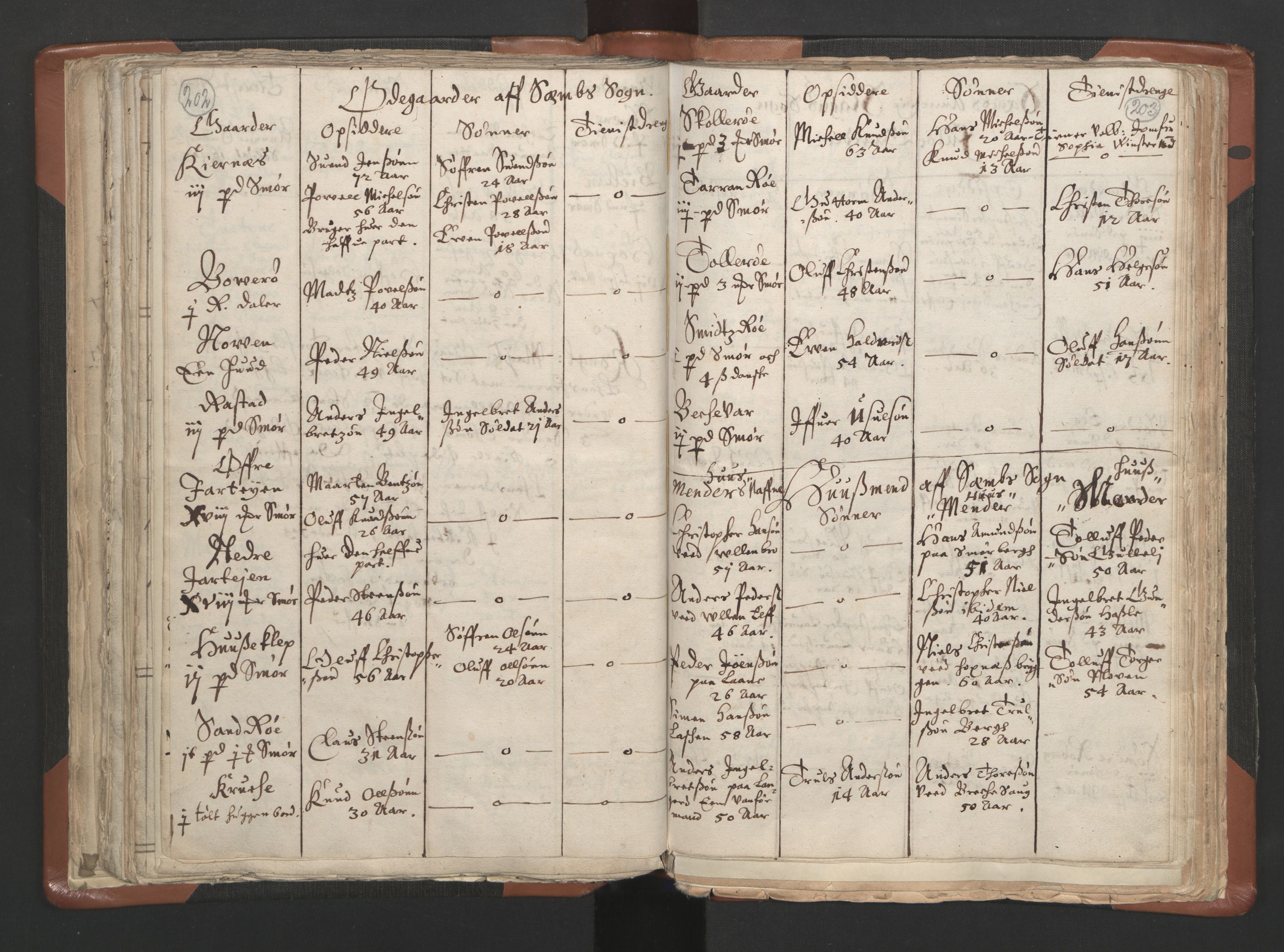 RA, Vicar's Census 1664-1666, no. 10: Tønsberg deanery, 1664-1666, p. 202-203