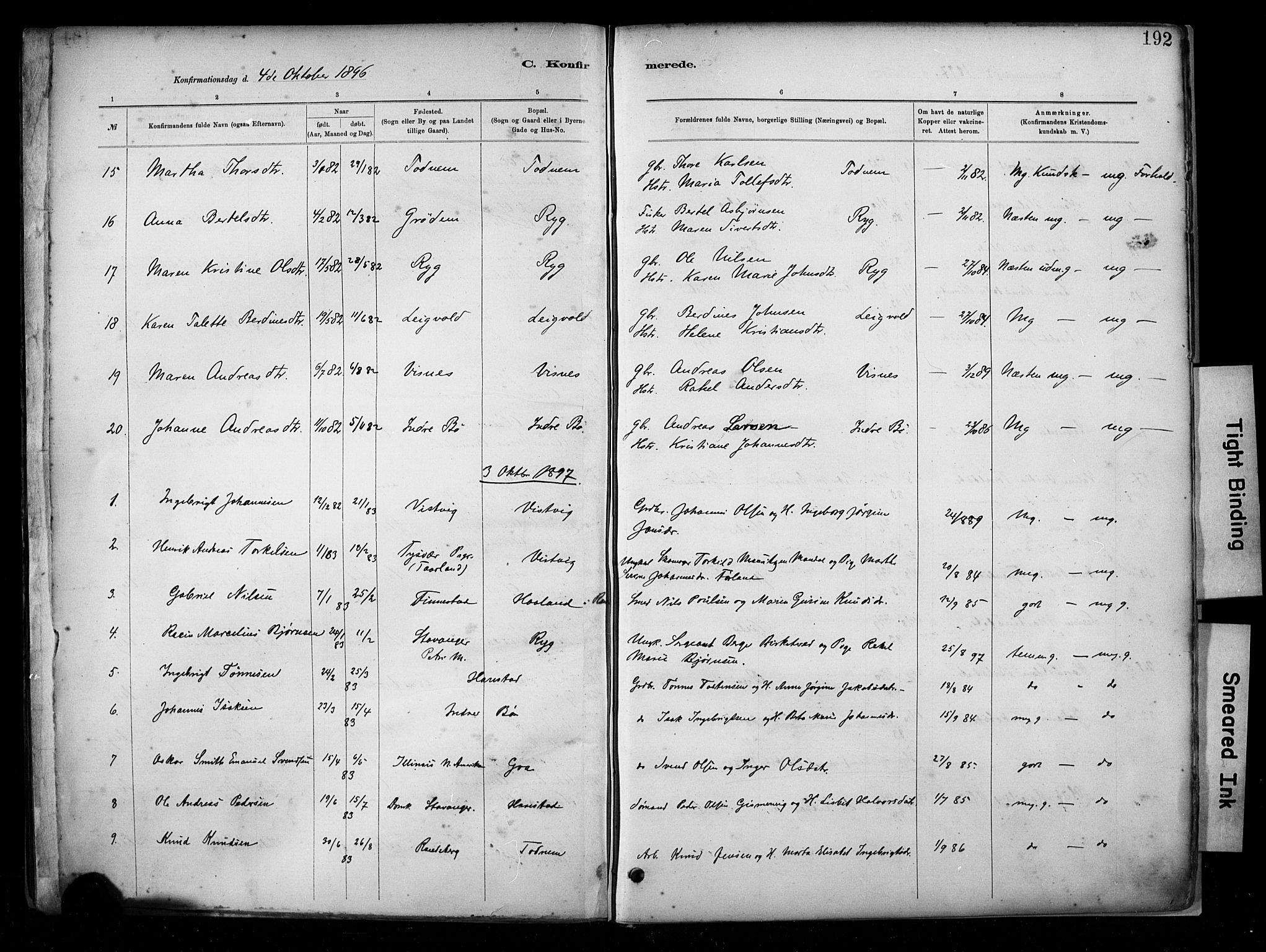 Hetland sokneprestkontor, SAST/A-101826/30/30BA/L0009: Parish register (official) no. A 9, 1882-1918, p. 192