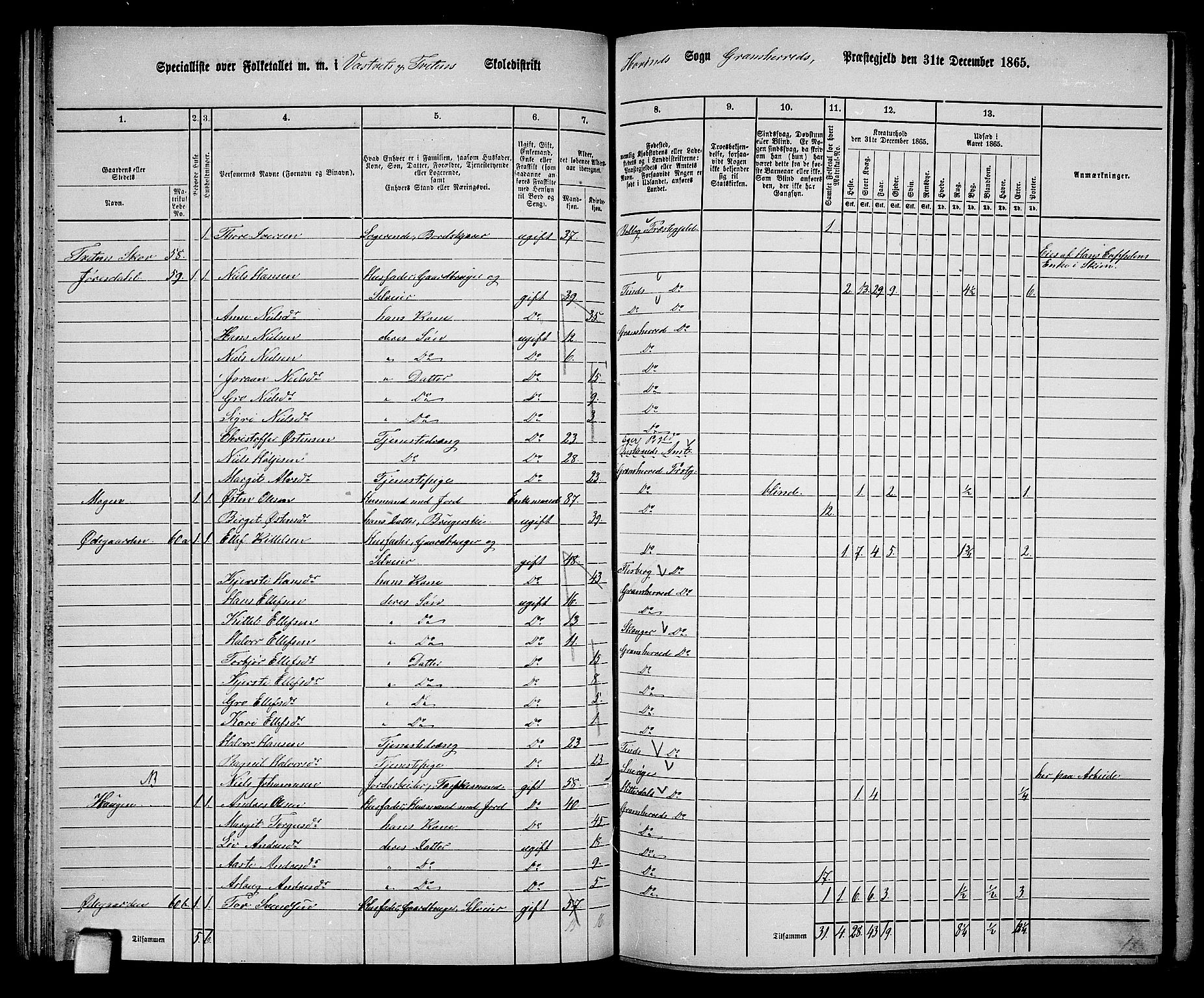 RA, 1865 census for Gransherad, 1865, p. 76