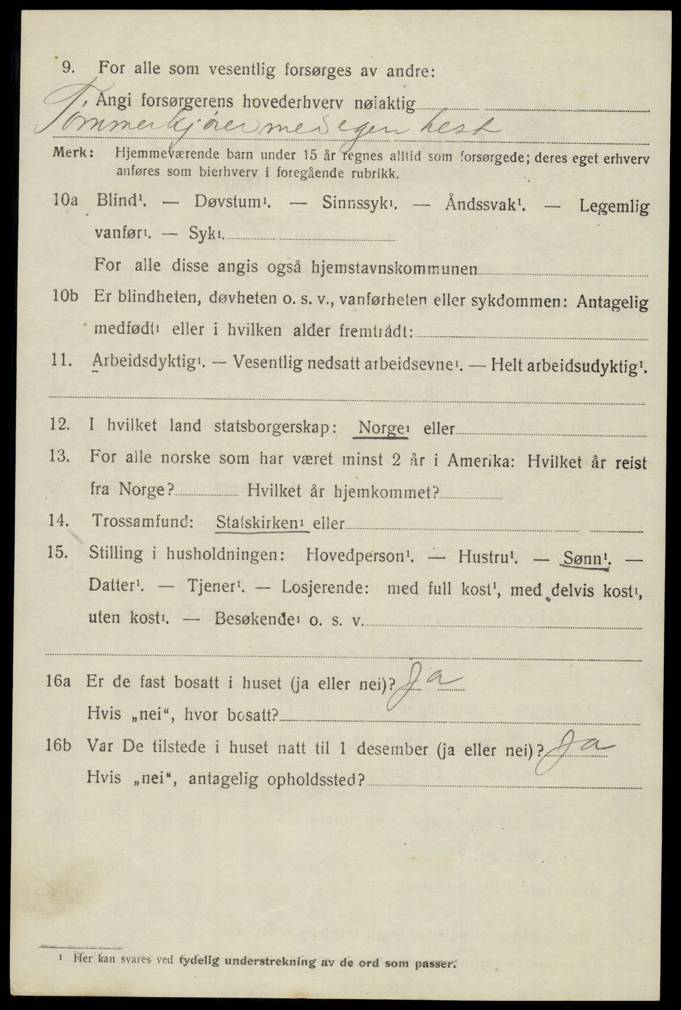 SAH, 1920 census for Trysil, 1920, p. 13793