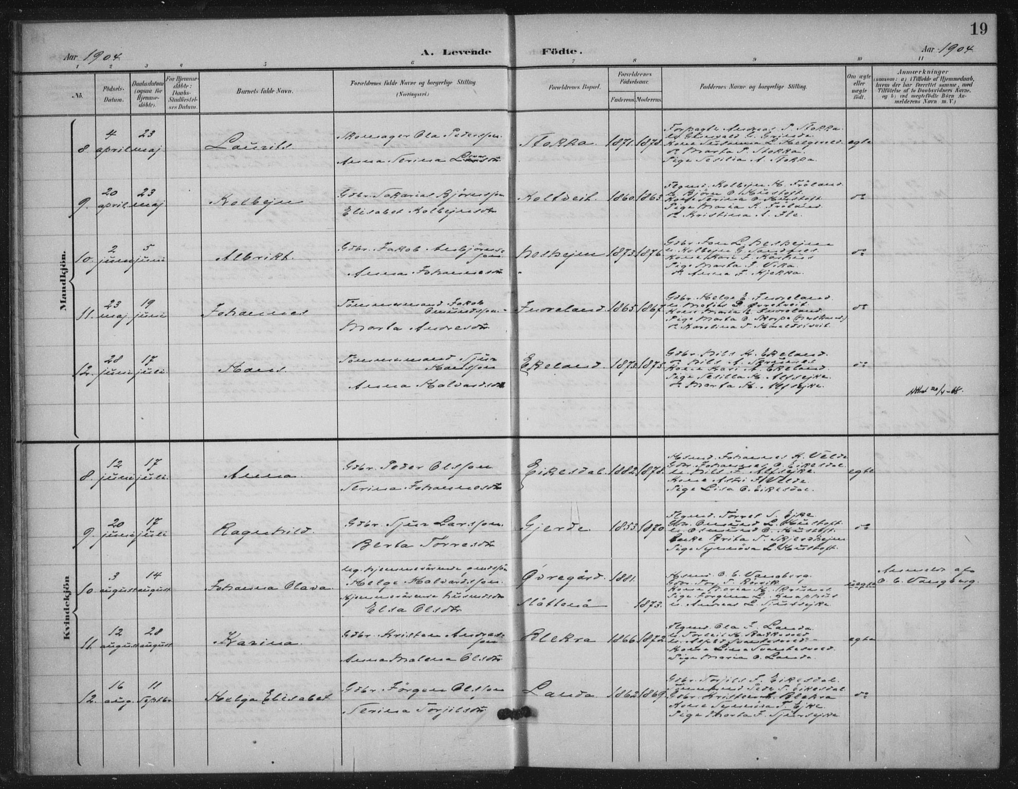 Skjold sokneprestkontor, SAST/A-101847/H/Ha/Haa/L0012: Parish register (official) no. A 12, 1899-1915, p. 19