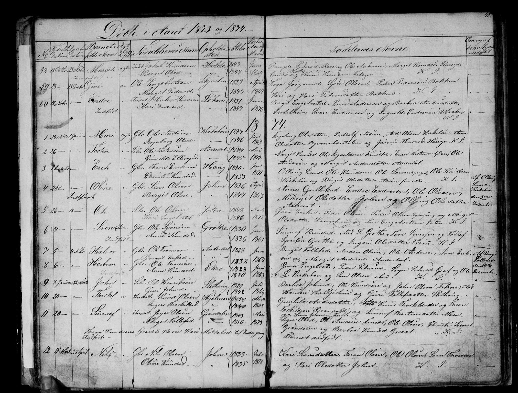 Gol kirkebøker, AV/SAKO-A-226/G/Gb/L0004: Parish register (copy) no. II 4, 1859-1874, p. 45