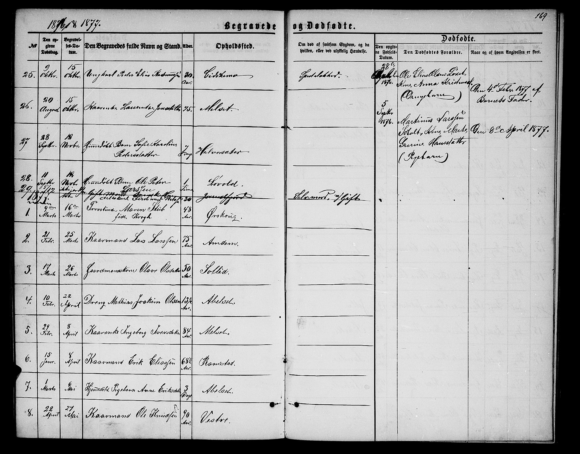 Ministerialprotokoller, klokkerbøker og fødselsregistre - Møre og Romsdal, AV/SAT-A-1454/522/L0325: Parish register (copy) no. 522C04, 1872-1877, p. 169