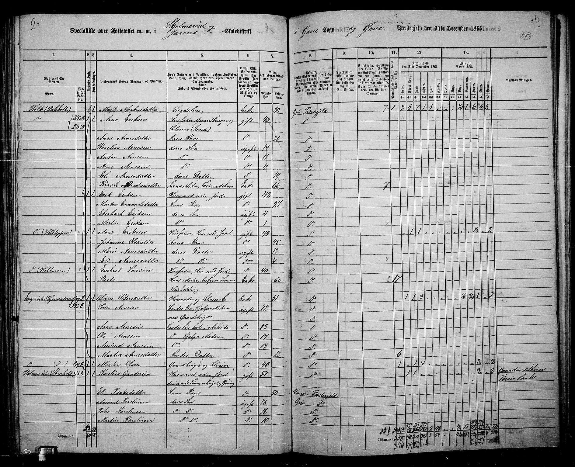 RA, 1865 census for Grue, 1865, p. 242