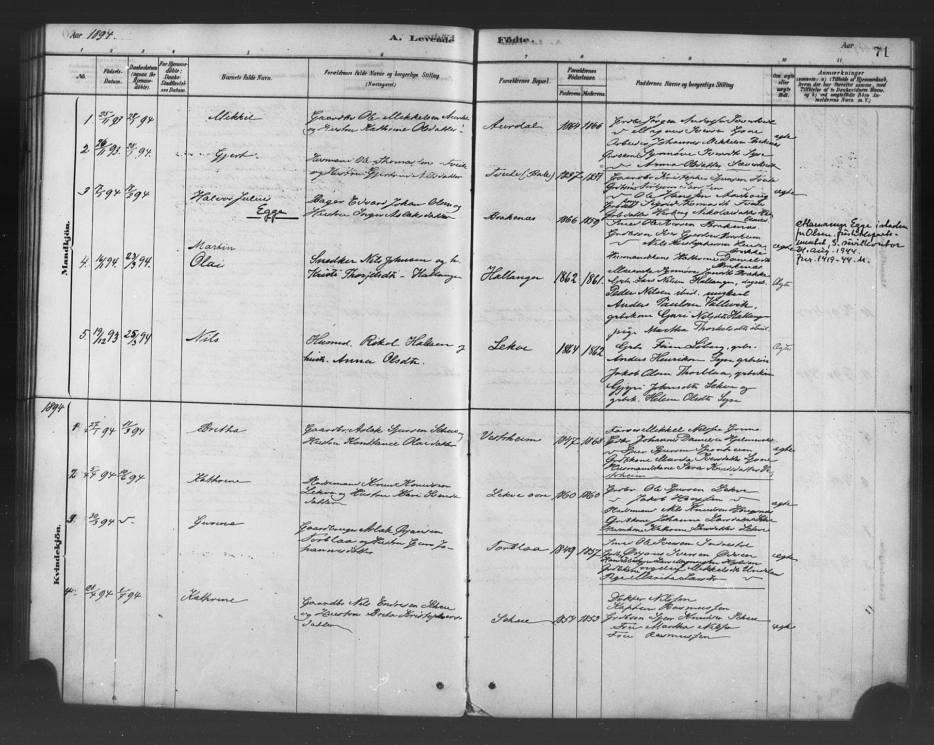 Ulvik sokneprestembete, SAB/A-78801/H/Haa: Parish register (official) no. B 1, 1878-1897, p. 71