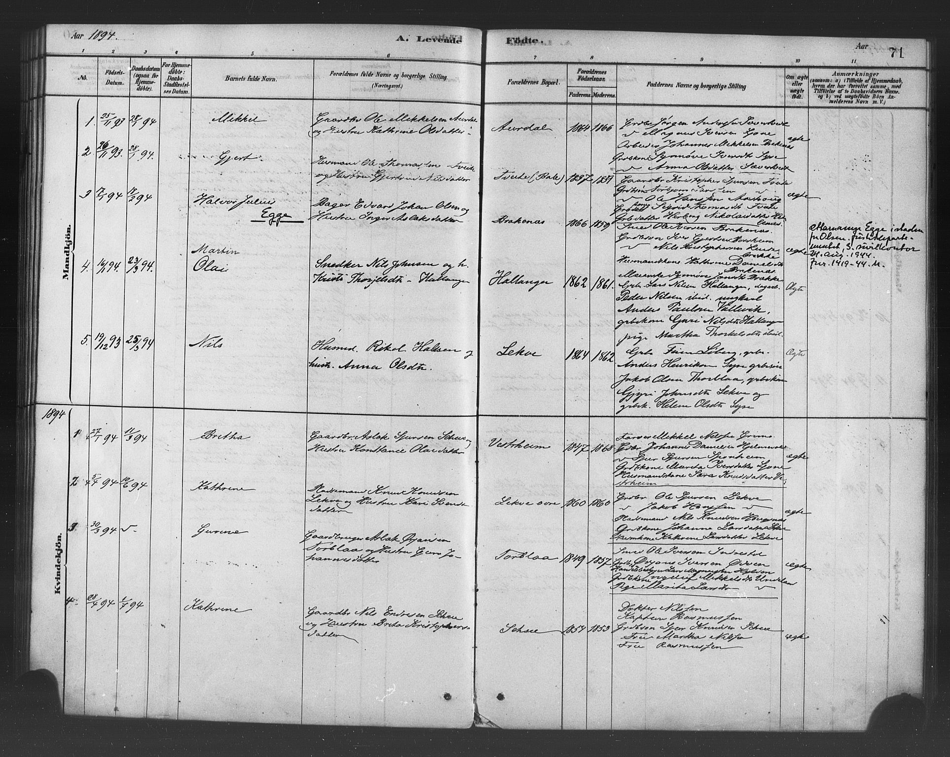 Ulvik sokneprestembete, AV/SAB-A-78801/H/Haa: Parish register (official) no. B 1, 1878-1897, p. 71