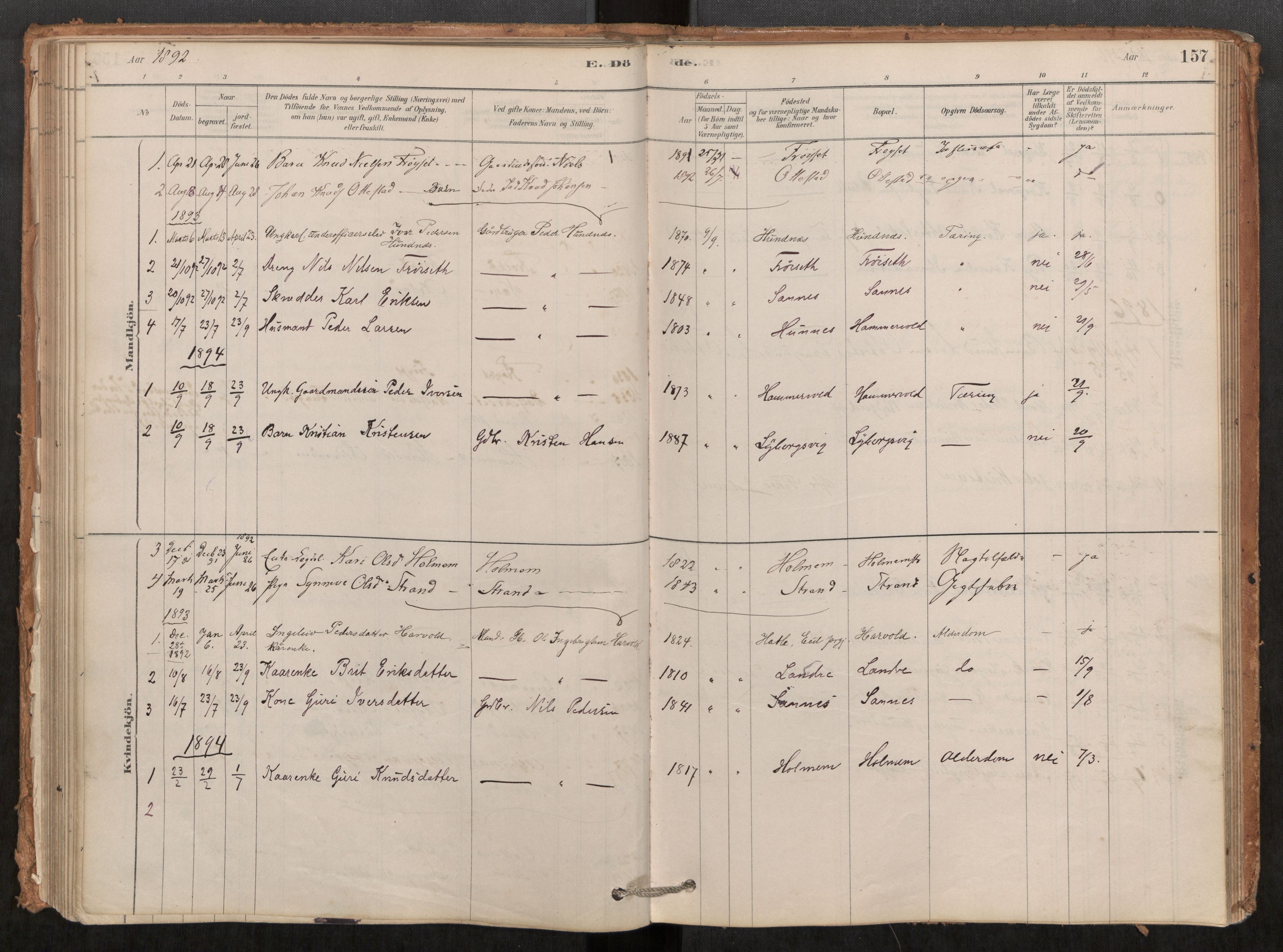 Ministerialprotokoller, klokkerbøker og fødselsregistre - Møre og Romsdal, AV/SAT-A-1454/548/L0615: Parish register (official) no. 548A02, 1878-1906, p. 157