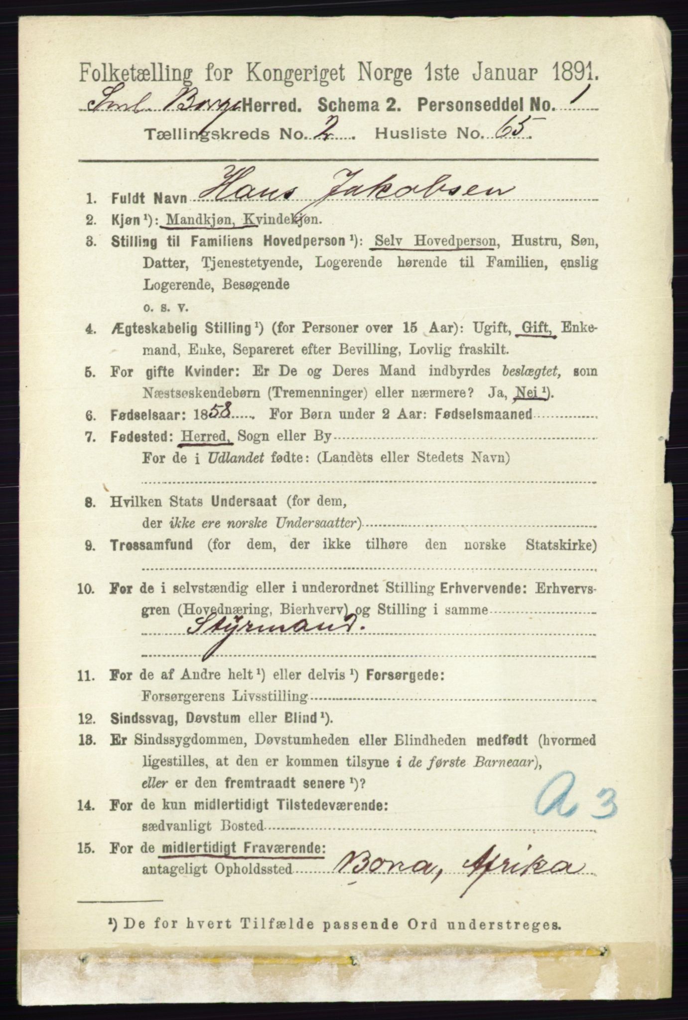 RA, 1891 census for 0113 Borge, 1891, p. 1177