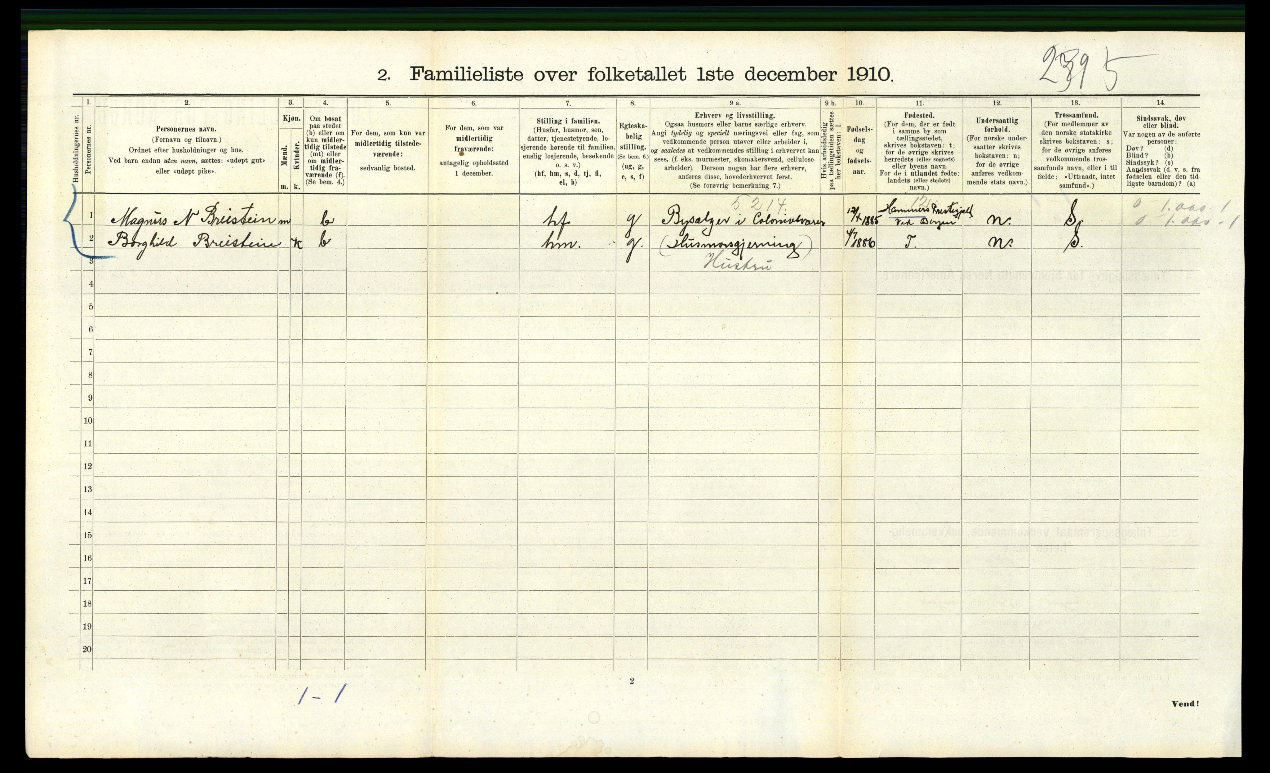 RA, 1910 census for Bergen, 1910, p. 3244