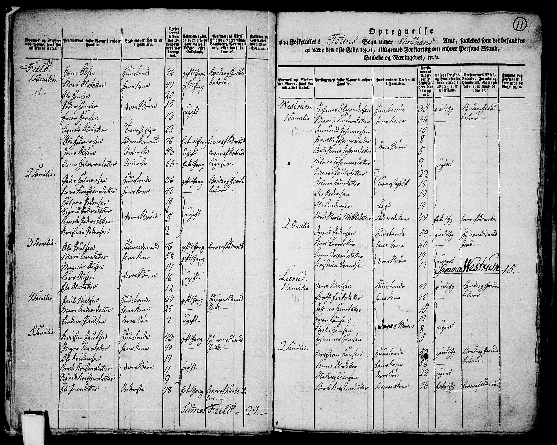 RA, 1801 census for 0528P Toten, 1801, p. 10b-11a
