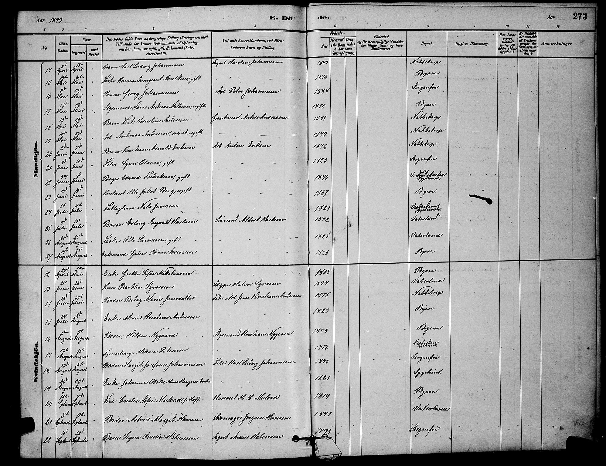 Østre Fredrikstad prestekontor Kirkebøker, AV/SAO-A-10907/G/Ga/L0001: Parish register (copy) no. 1, 1880-1899, p. 273