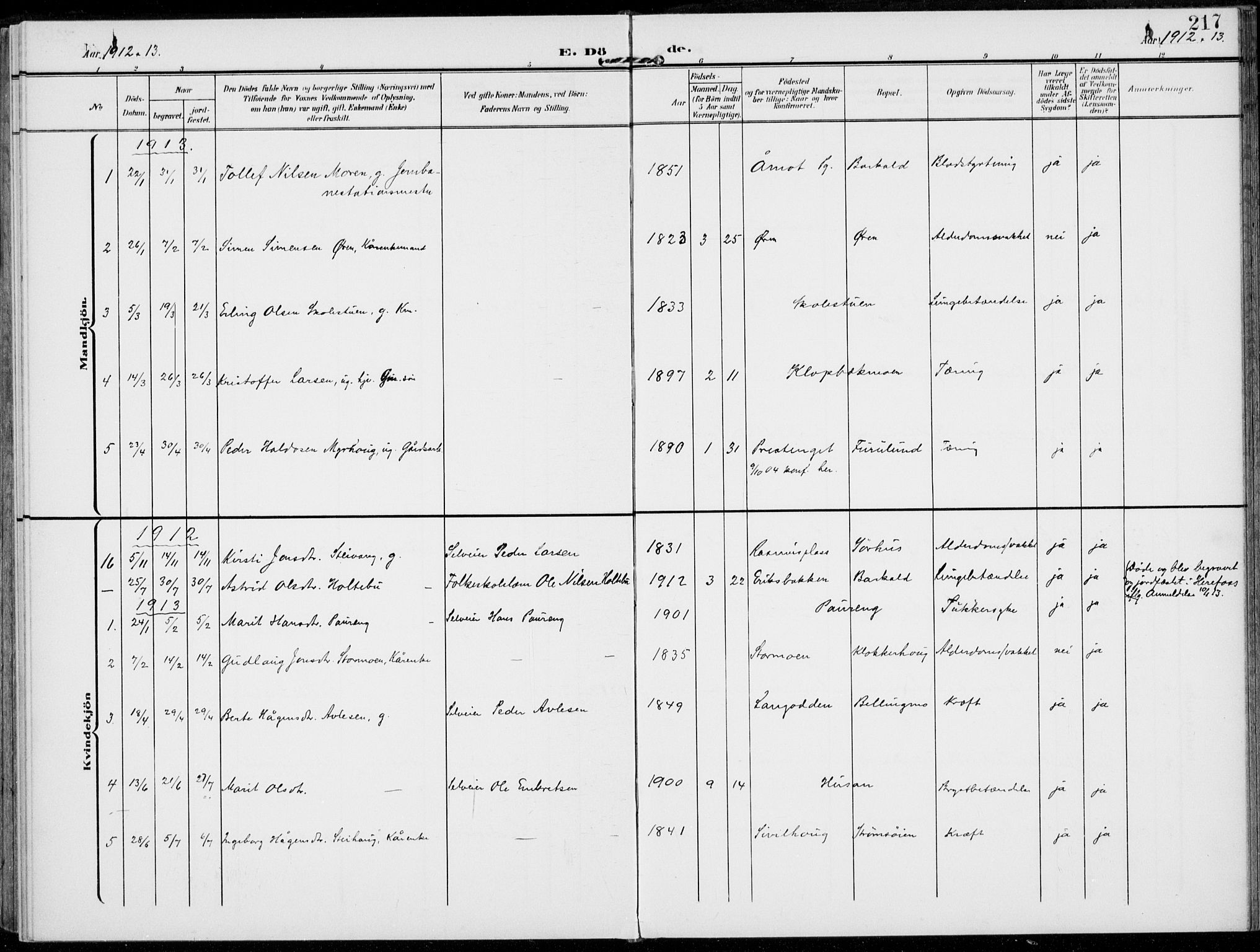 Alvdal prestekontor, SAH/PREST-060/H/Ha/Haa/L0004: Parish register (official) no. 4, 1907-1919, p. 217