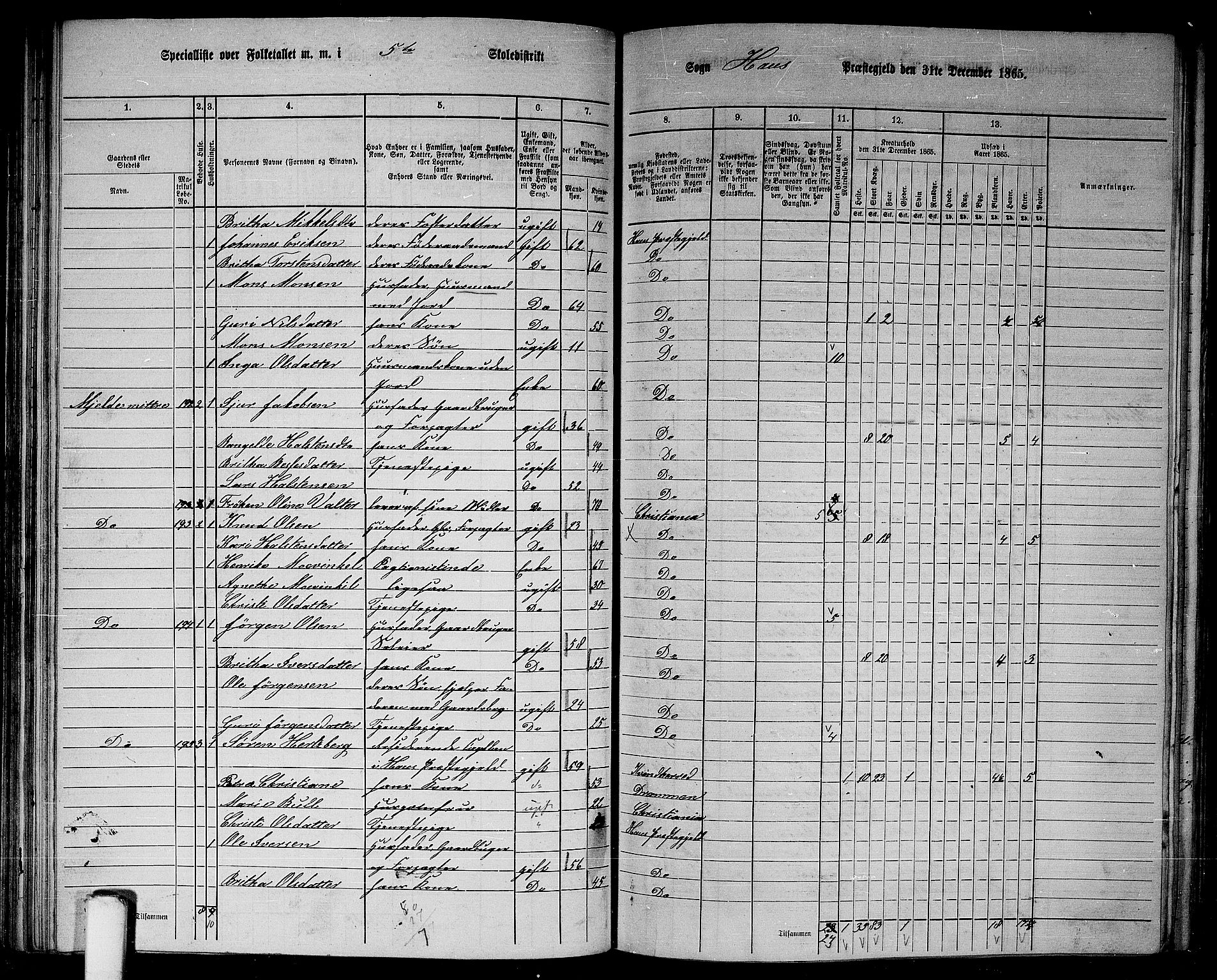 RA, 1865 census for Haus, 1865, p. 95