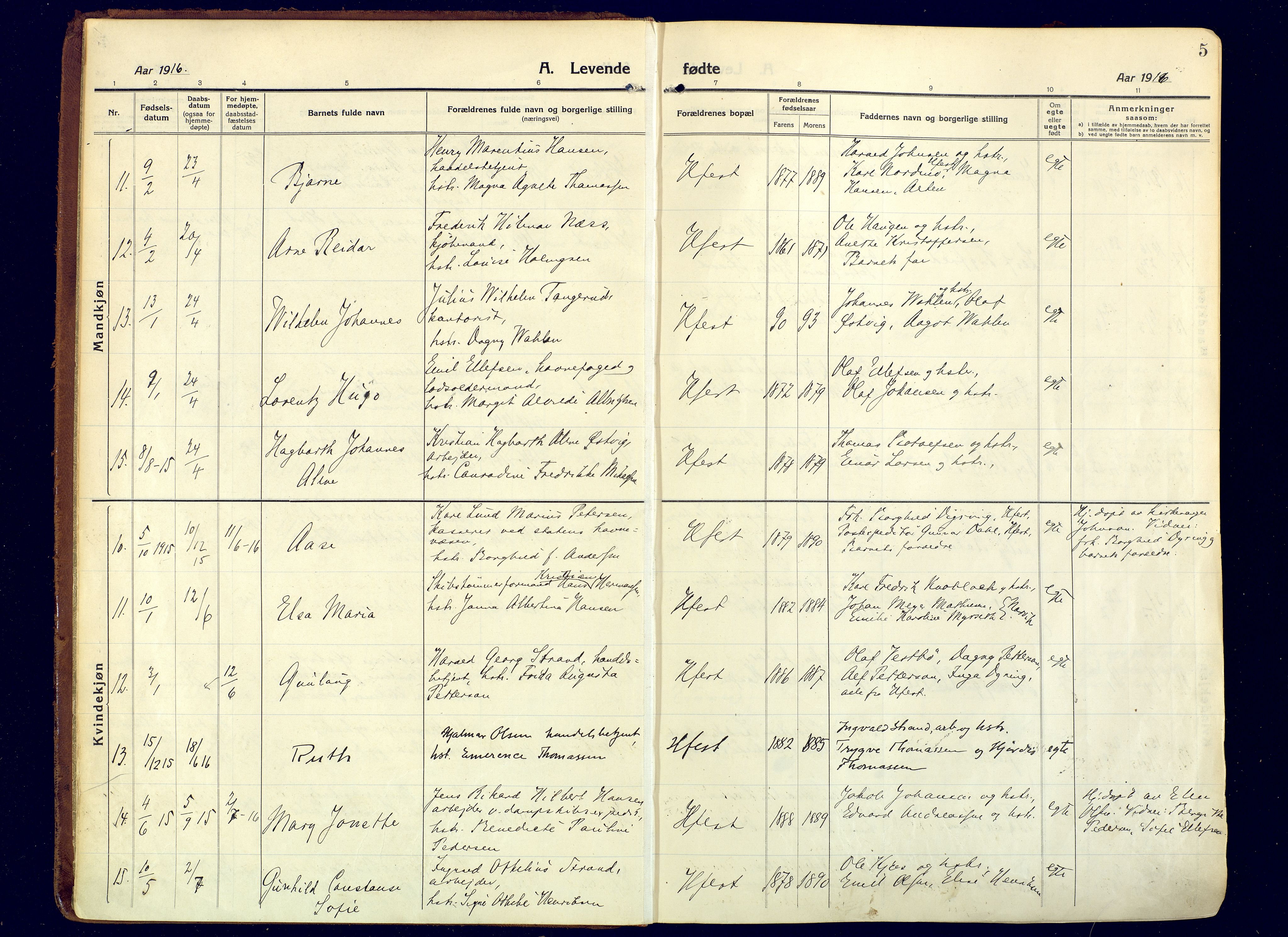 Hammerfest sokneprestkontor, SATØ/S-1347/H/Ha/L0015.kirke: Parish register (official) no. 15, 1916-1923, p. 5