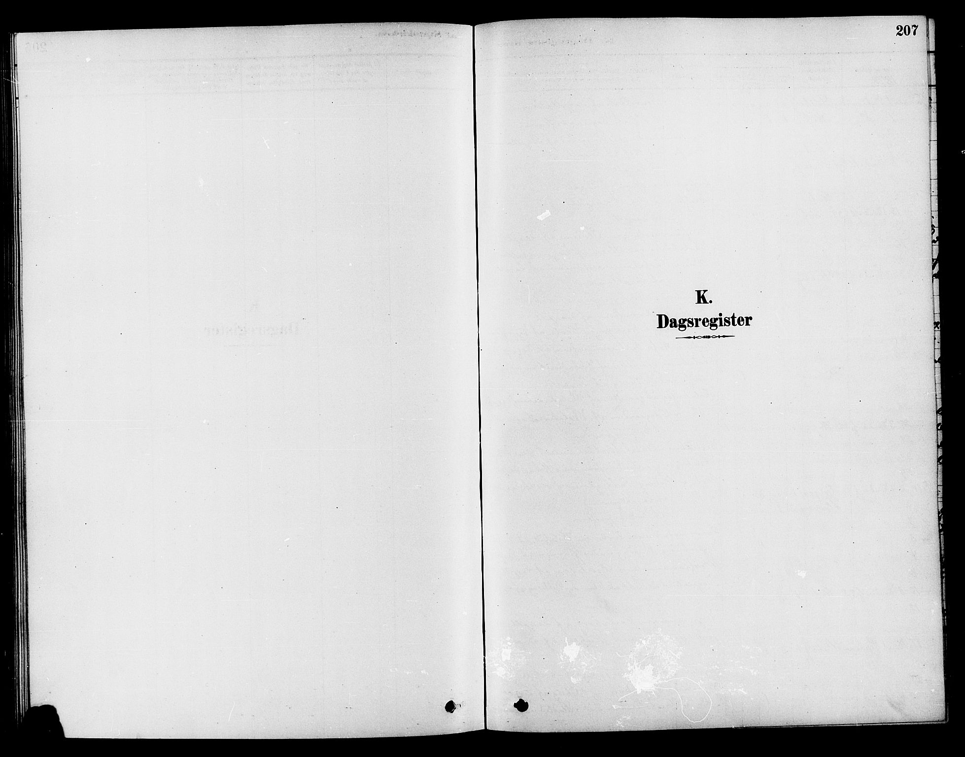 Søndre Land prestekontor, SAH/PREST-122/K/L0002: Parish register (official) no. 2, 1878-1894, p. 207