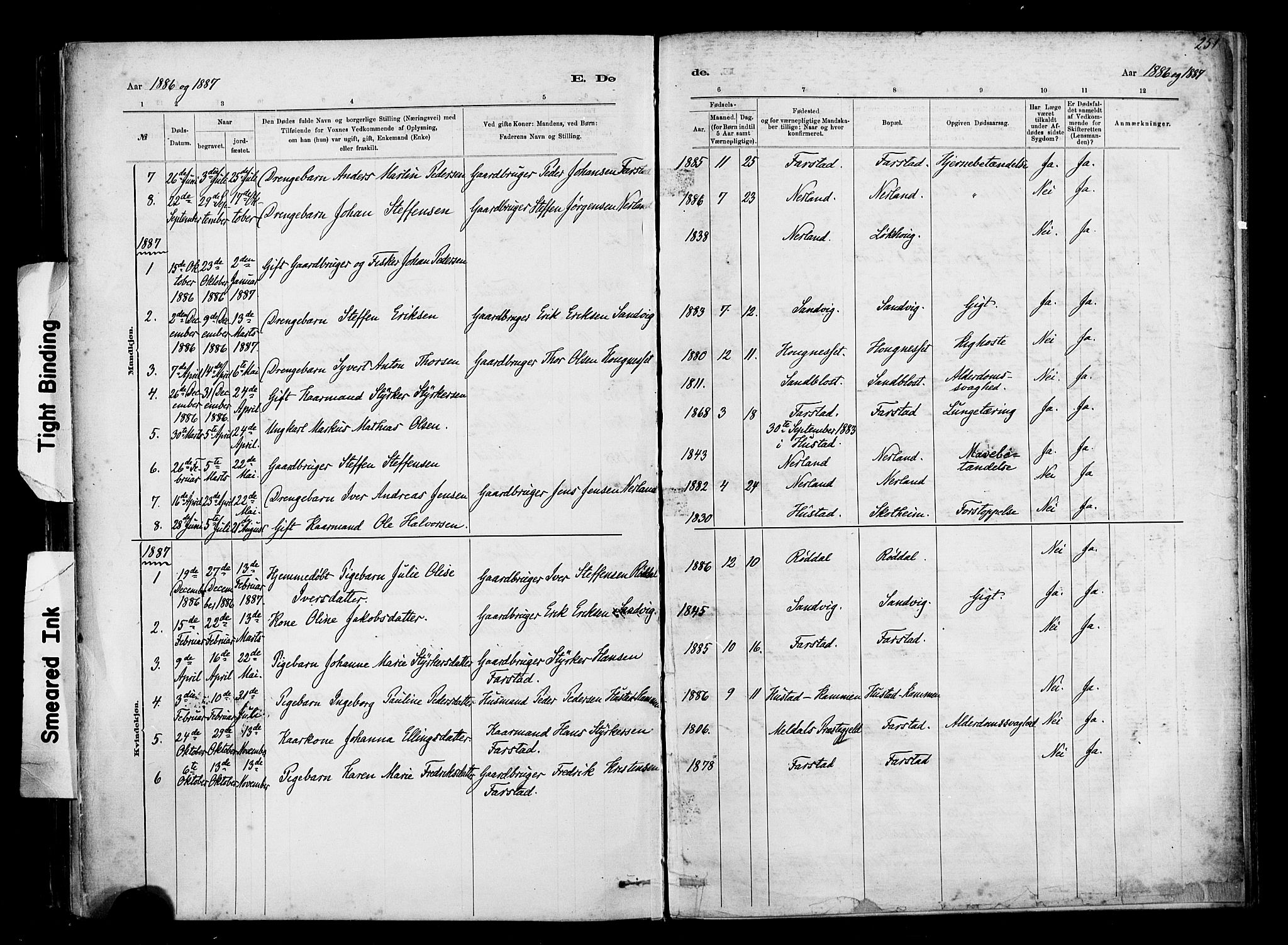 Ministerialprotokoller, klokkerbøker og fødselsregistre - Møre og Romsdal, AV/SAT-A-1454/567/L0778: Parish register (official) no. 567A01, 1881-1903, p. 251