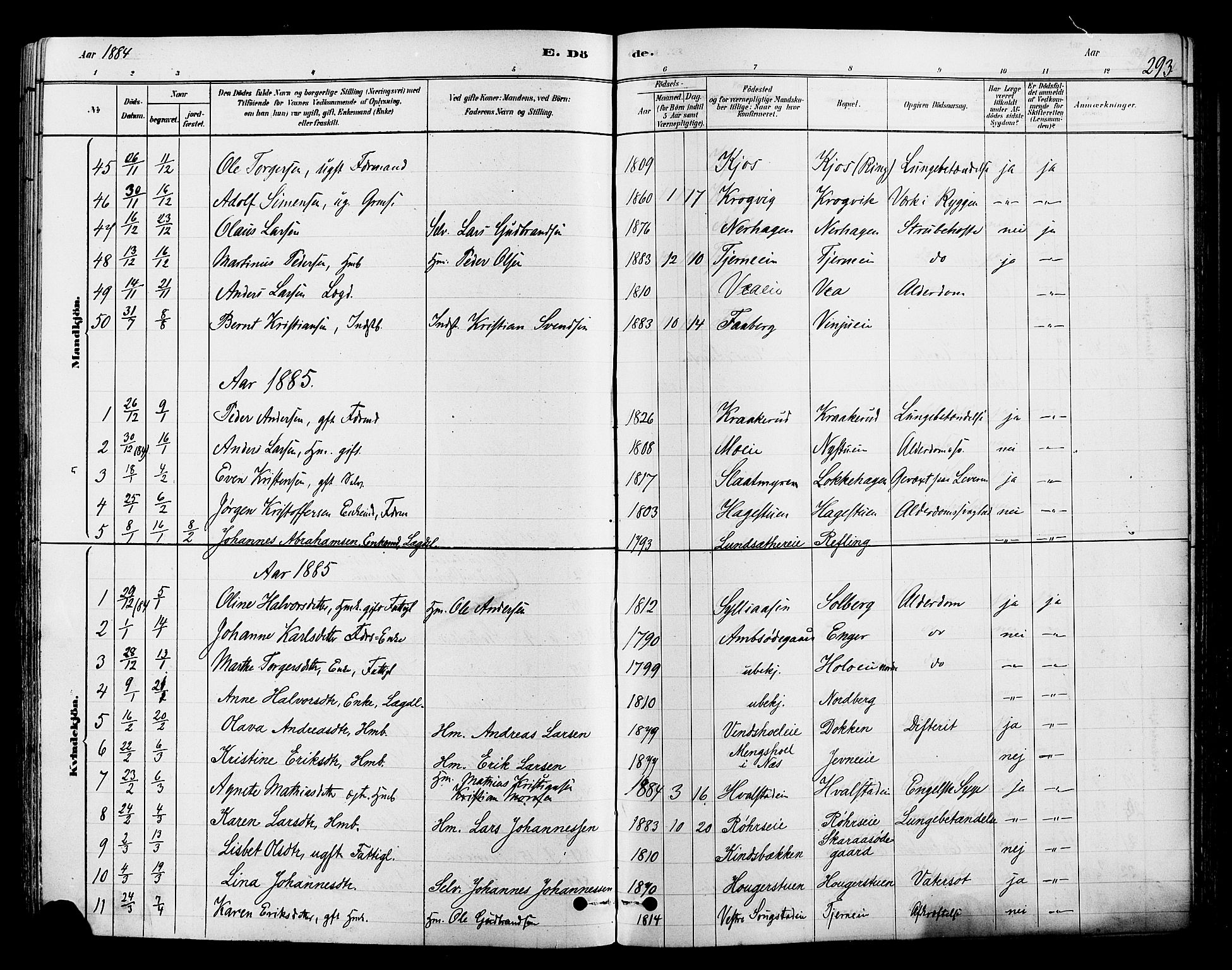 Ringsaker prestekontor, AV/SAH-PREST-014/L/La/L0009: Parish register (copy) no. 9, 1879-1890, p. 293