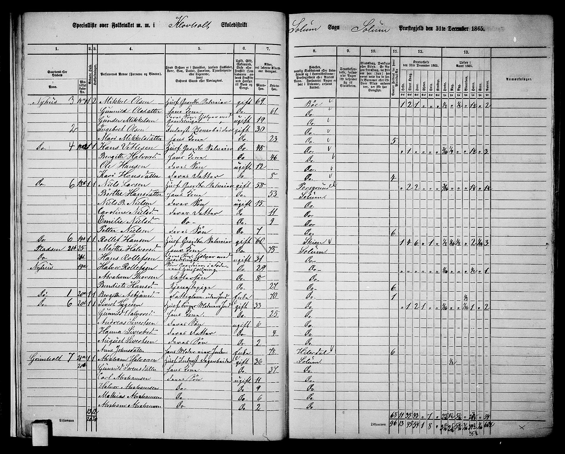 RA, 1865 census for Solum, 1865, p. 19