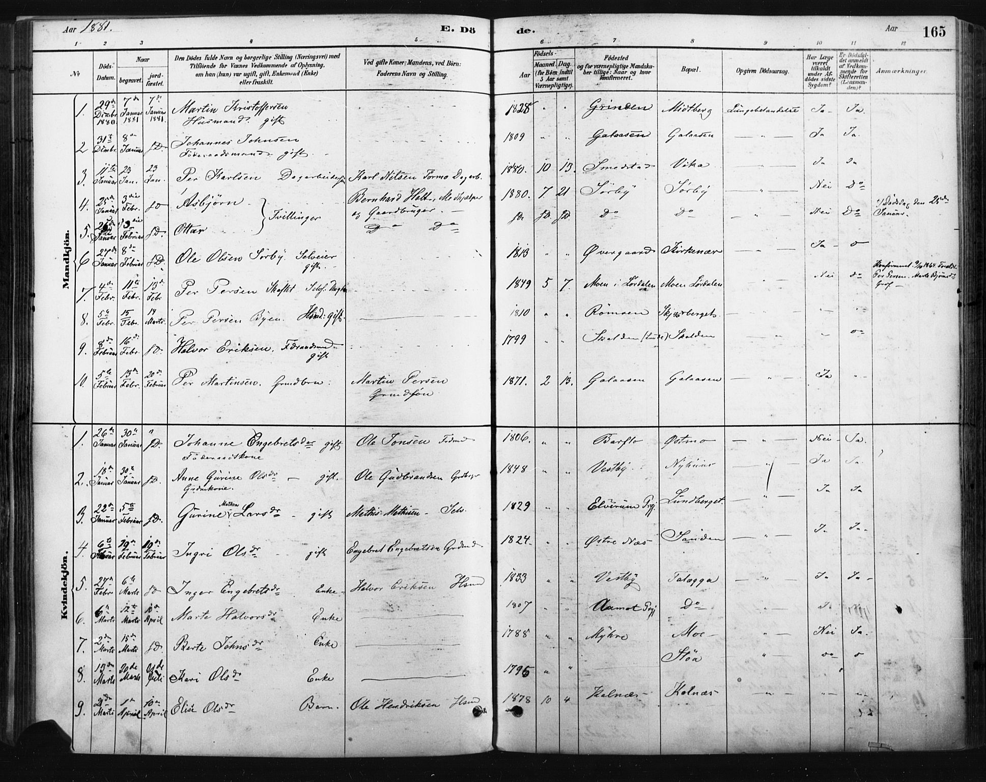 Trysil prestekontor, AV/SAH-PREST-046/H/Ha/Haa/L0009: Parish register (official) no. 9, 1881-1897, p. 165