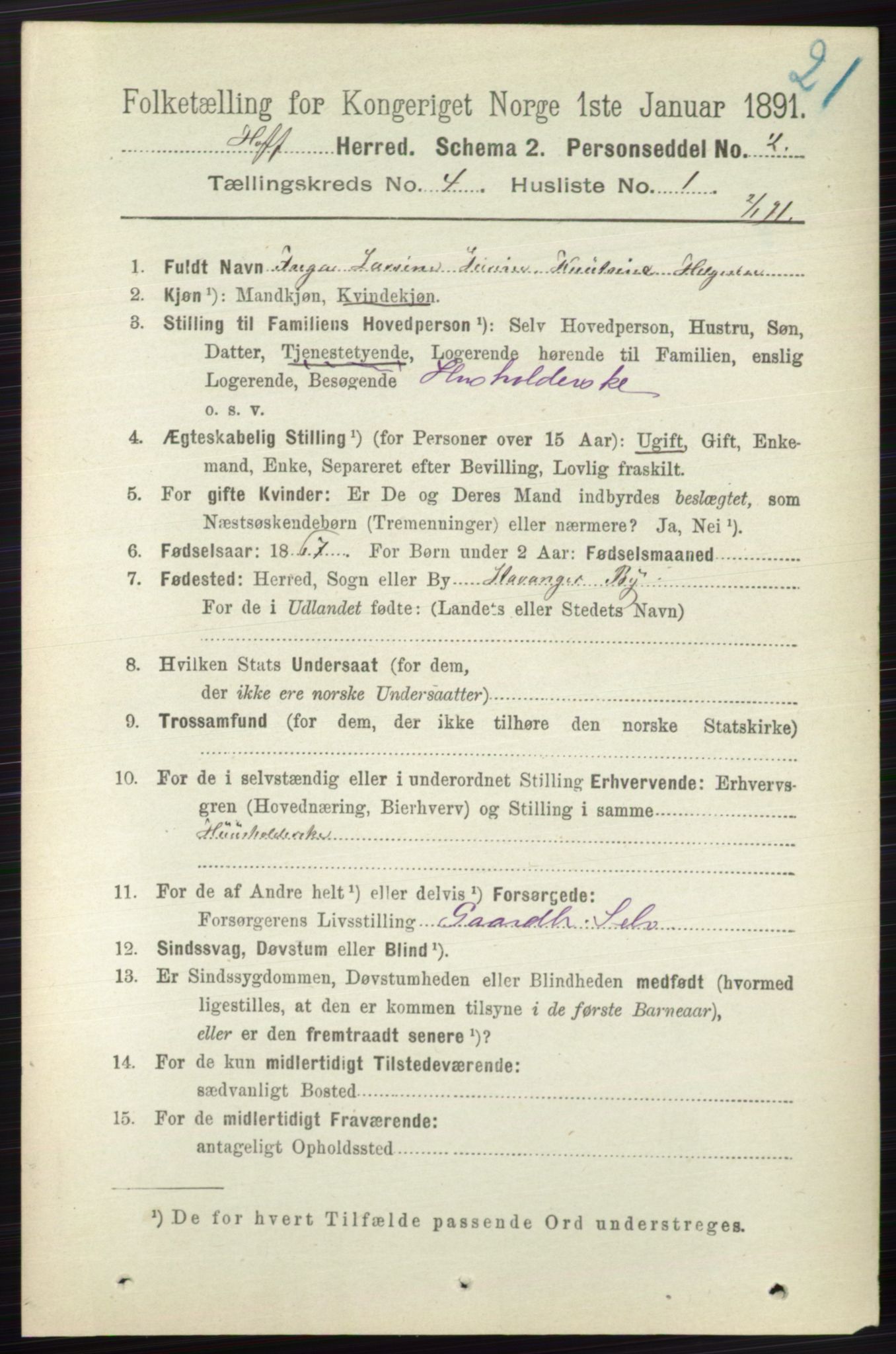 RA, 1891 census for 0714 Hof, 1891, p. 1131